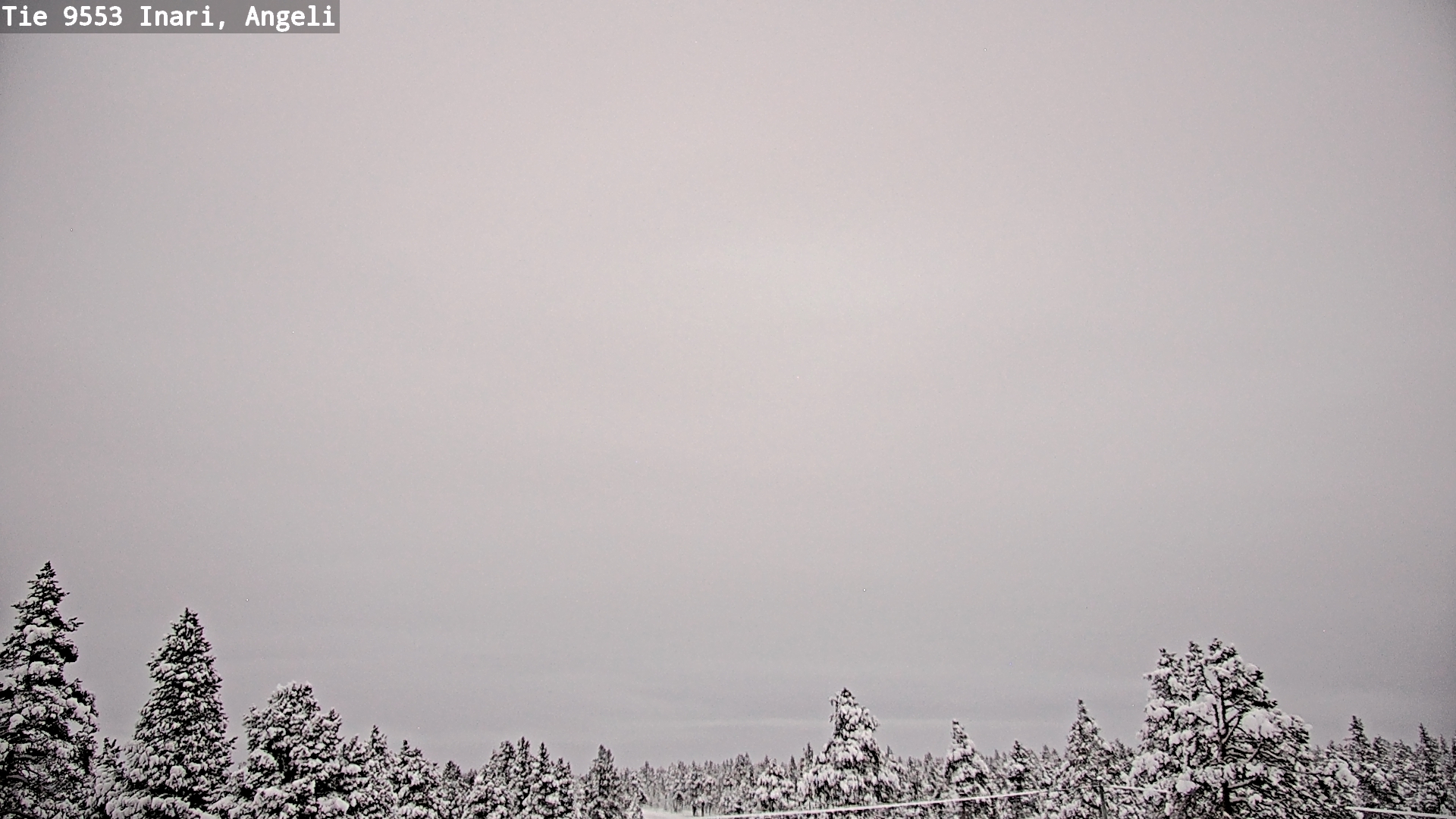 Weather Camera Image Road 9553 Inari, Angeli, Lintupuolivaara, Inari, Lappi