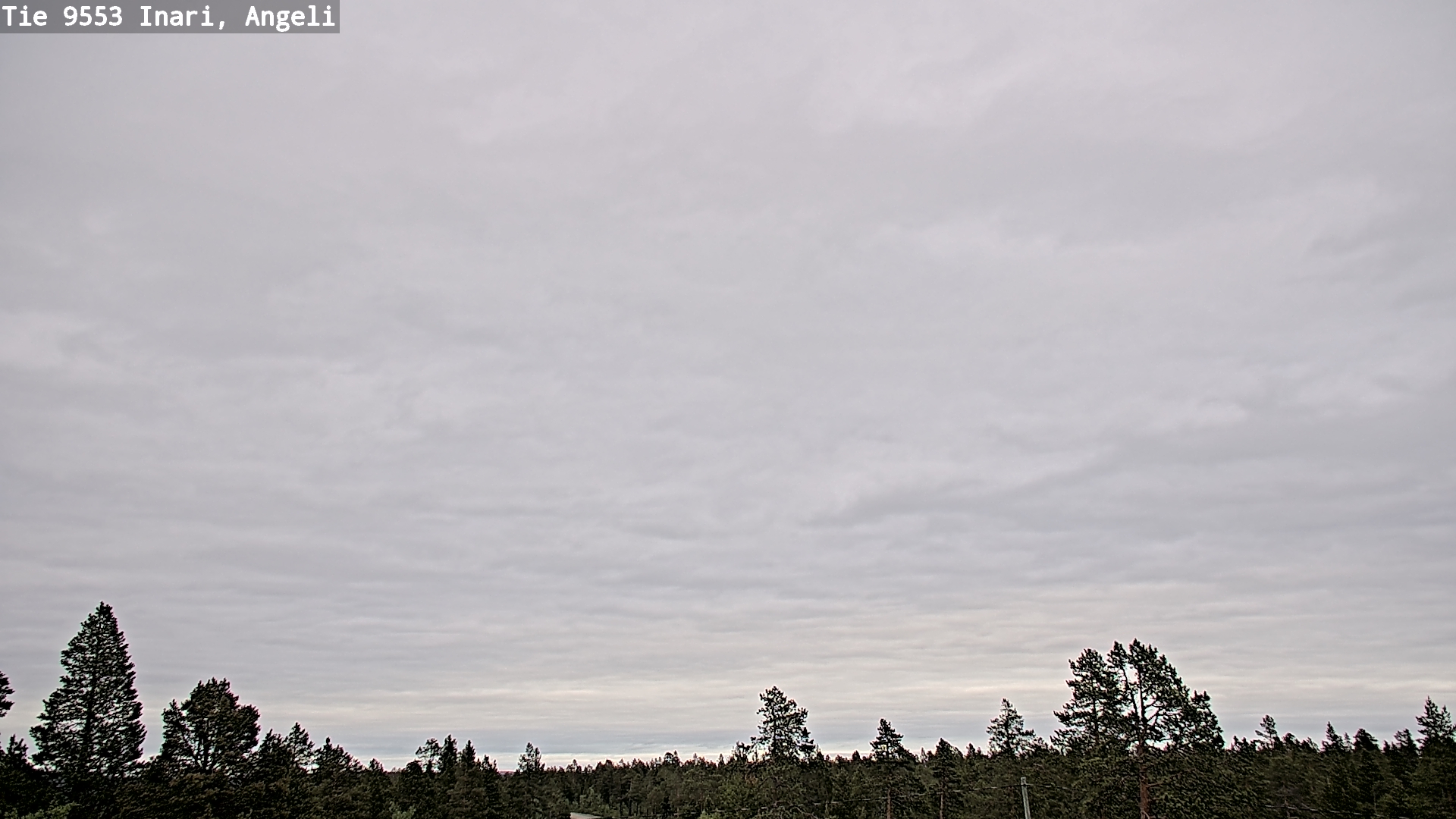 Kelikamerat Kuva Tie 9553 Inari, Angeli, Lintupuolivaara, Inari, Lappi