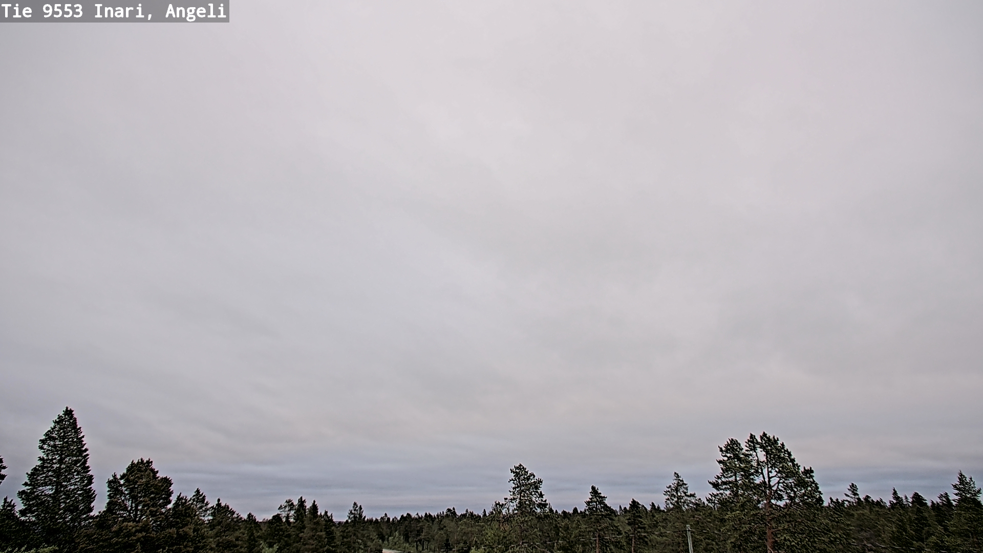 Kelikamerat Kuva Tie 9553 Inari, Angeli, Lintupuolivaara, Inari, Lappi