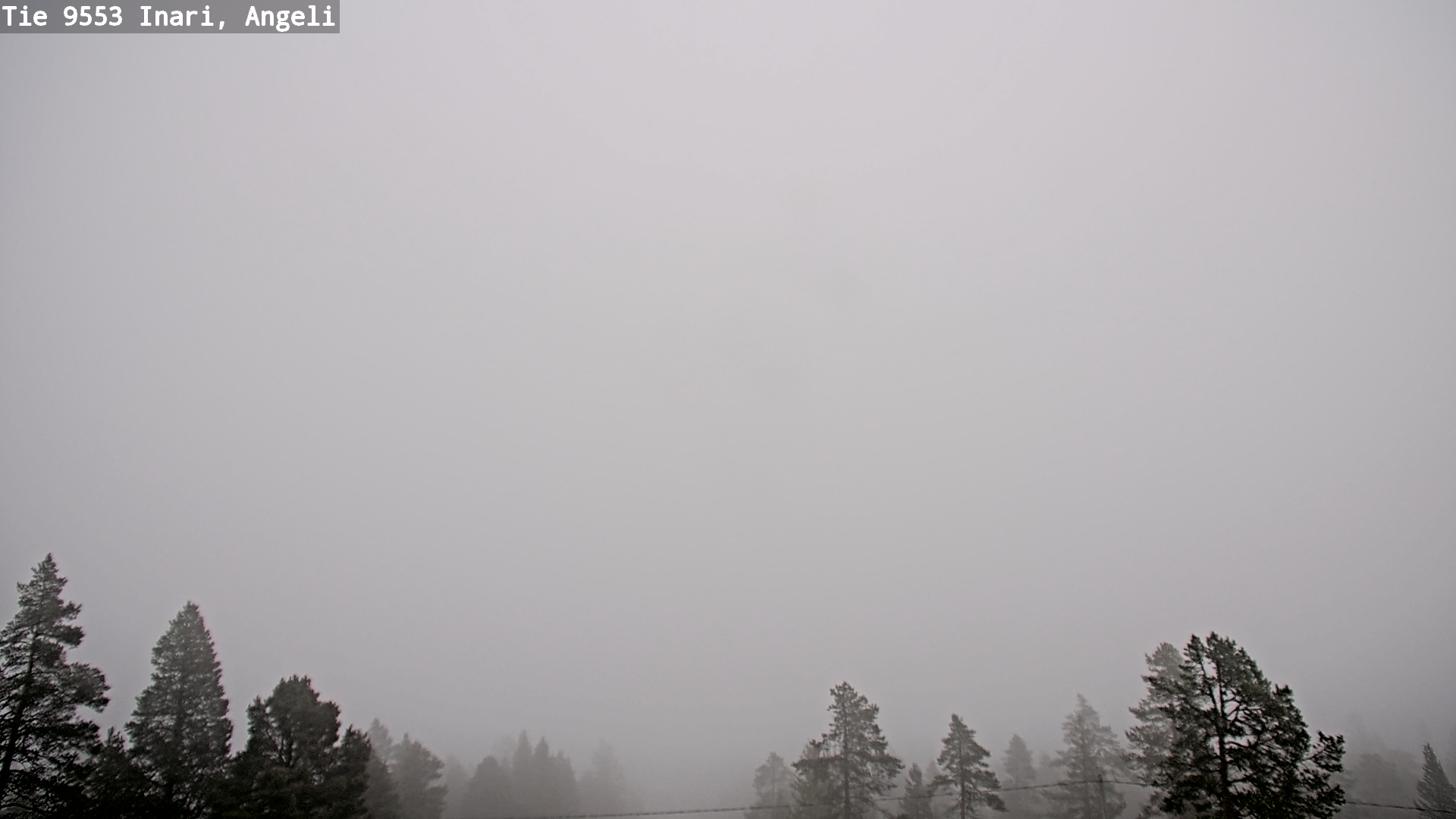 Weather Camera Image Road 9553 Inari, Angeli, Lintupuolivaara, Inari, Lappi