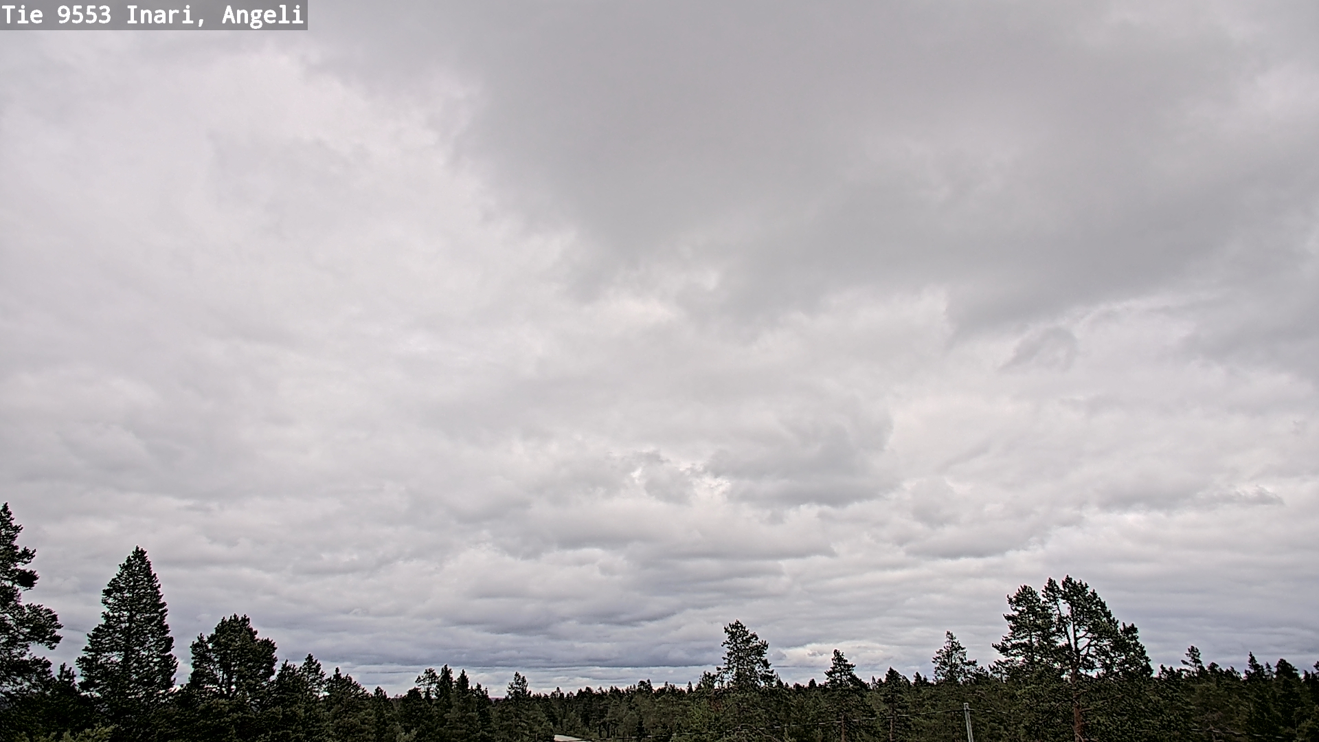 Kelikamerat Kuva Tie 9553 Inari, Angeli, Lintupuolivaara, Inari, Lappi