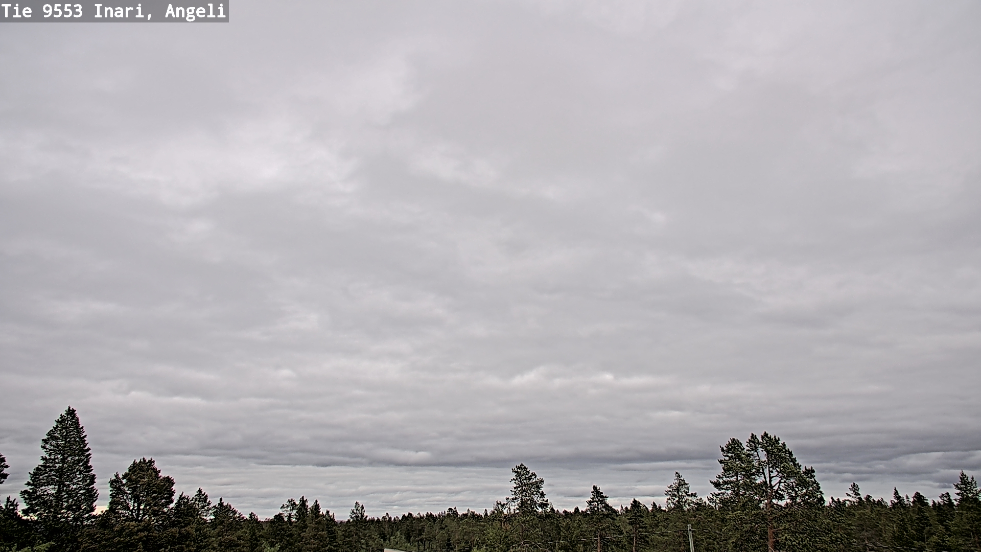 Kelikamerat Kuva Tie 9553 Inari, Angeli, Lintupuolivaara, Inari, Lappi