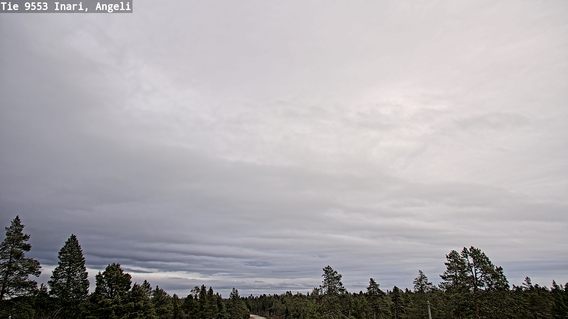 Kelikamerat Kuva Tie 9553 Inari, Angeli, Lintupuolivaara, Inari, Lappi