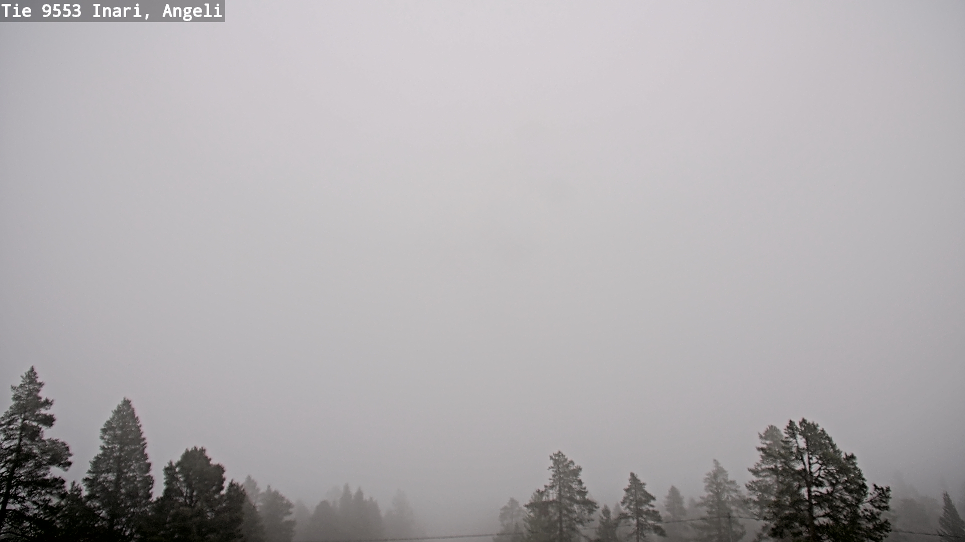 Weather Camera Image Road 9553 Inari, Angeli, Lintupuolivaara, Inari, Lappi