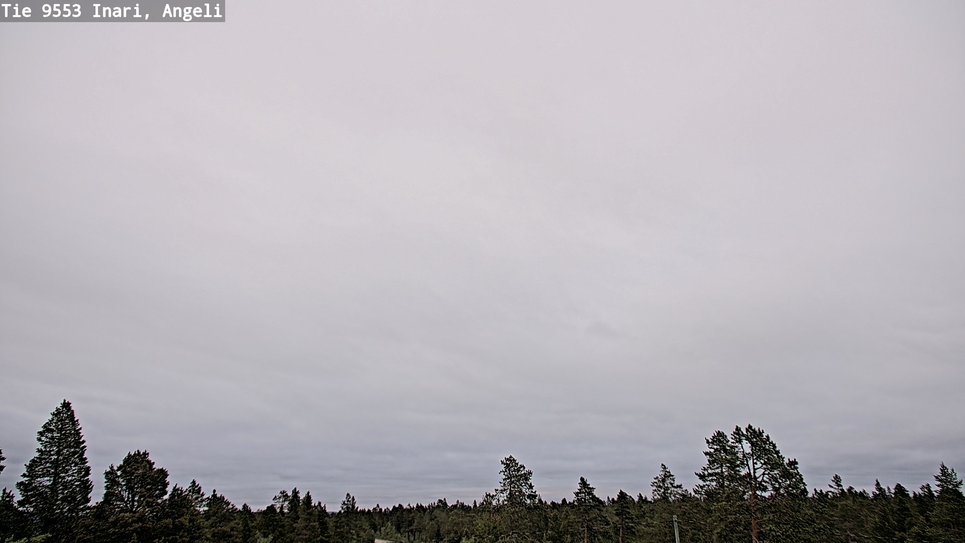 Kelikamerat Kuva Tie 9553 Inari, Angeli, Lintupuolivaara, Inari, Lappi