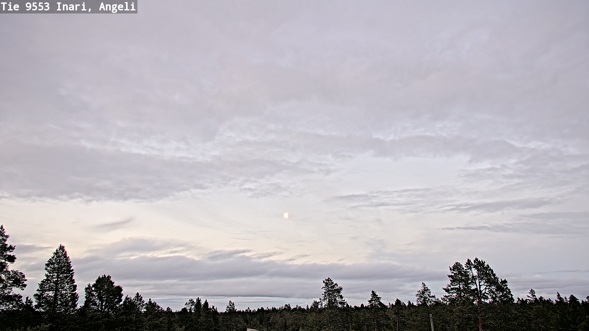 Kelikamerat Kuva Tie 9553 Inari, Angeli, Lintupuolivaara, Inari, Lappi
