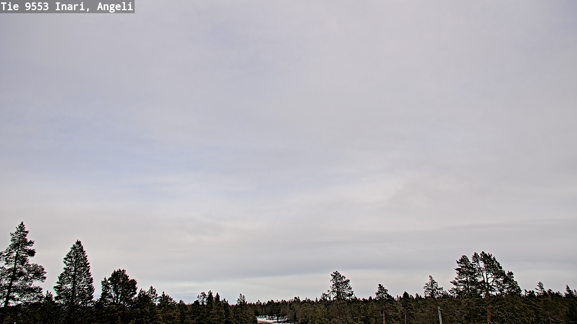 Weather Camera Image Road 9553 Inari, Angeli, Lintupuolivaara, Inari, Lappi