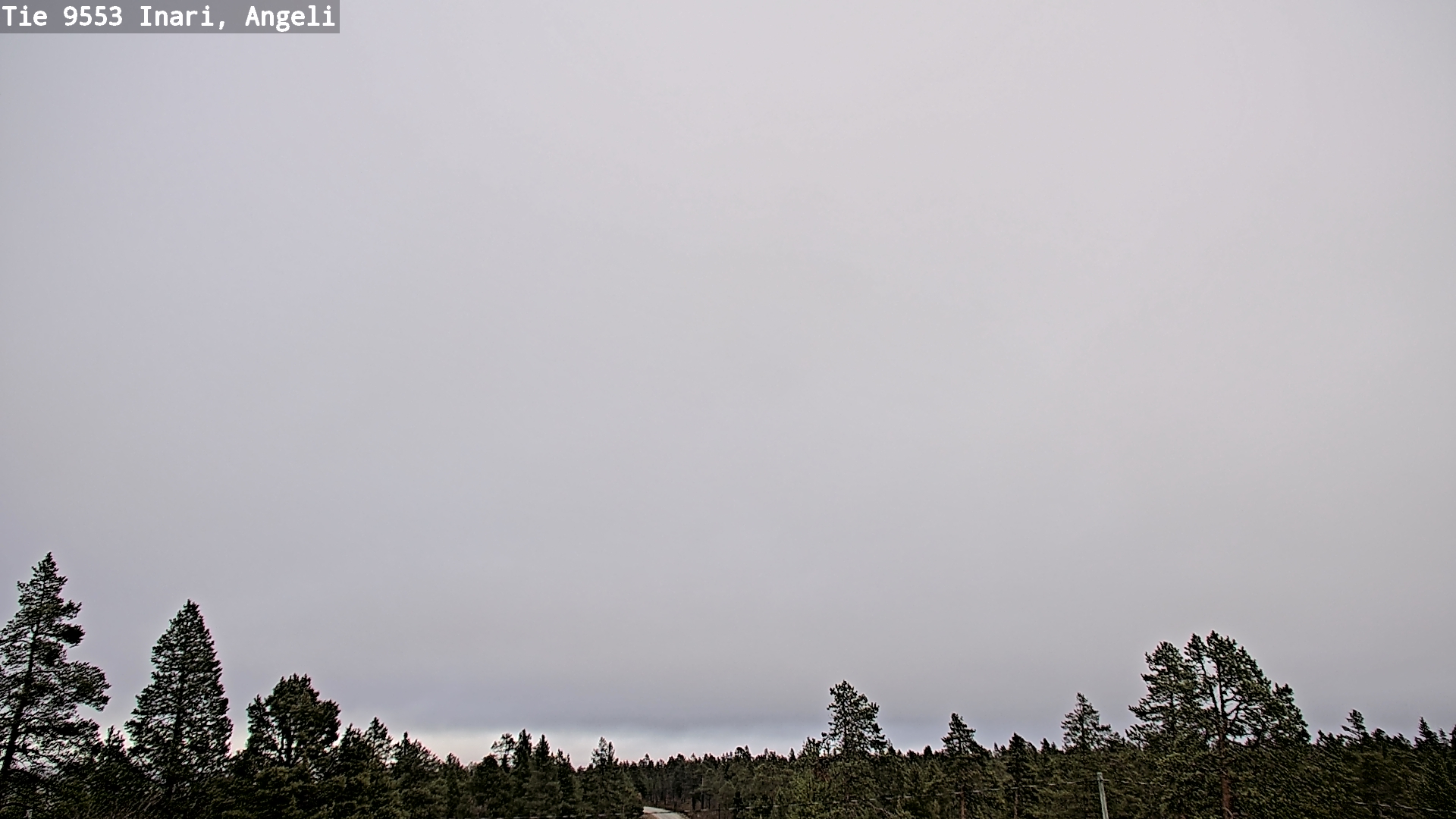 Weather Camera Image Road 9553 Inari, Angeli, Lintupuolivaara, Inari, Lappi