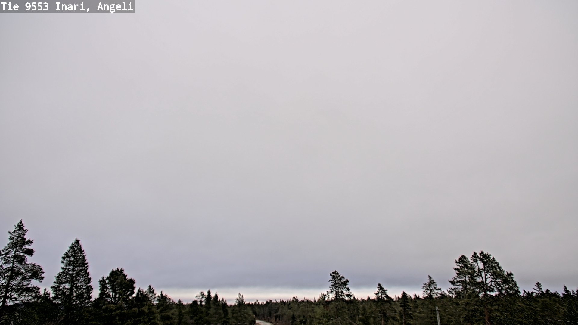 Weather Camera Image Road 9553 Inari, Angeli, Lintupuolivaara, Inari, Lappi