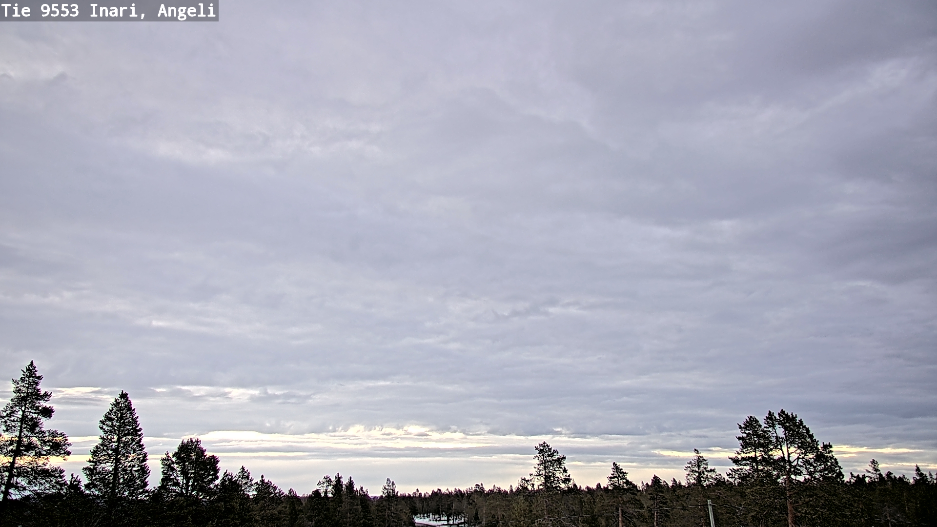 Weather Camera Image Road 9553 Inari, Angeli, Lintupuolivaara, Inari, Lappi