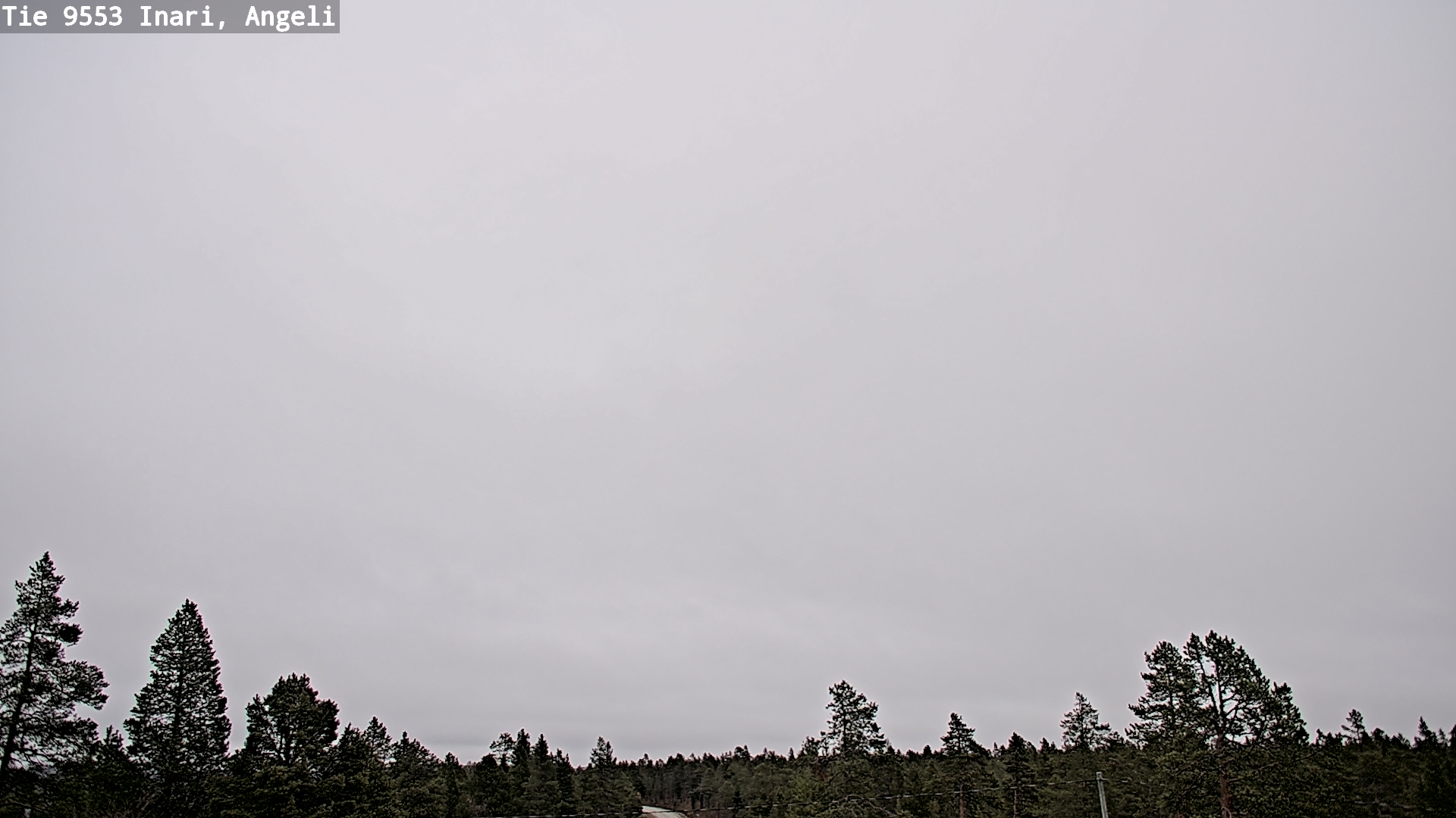 Kelikamerat Kuva Tie 9553 Inari, Angeli, Lintupuolivaara, Inari, Lappi