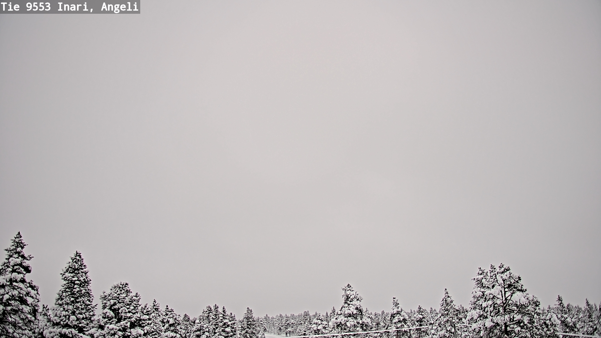 Kelikamerat Kuva Tie 9553 Inari, Angeli, Lintupuolivaara, Inari, Lappi