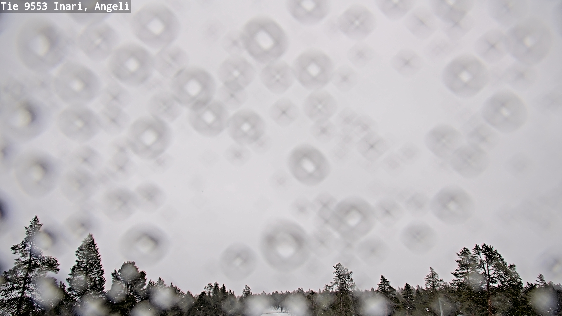 Kelikamerat Kuva Tie 9553 Inari, Angeli, Lintupuolivaara, Inari, Lappi