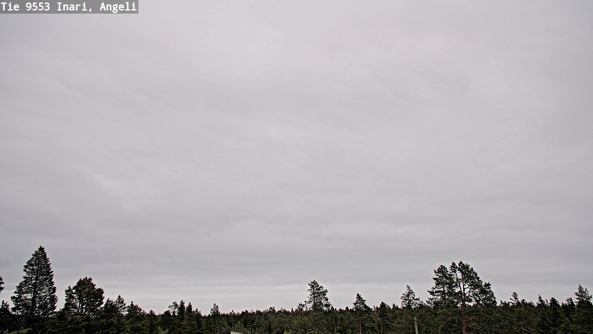 Weather Camera Image Road 9553 Inari, Angeli, Lintupuolivaara, Inari, Lappi