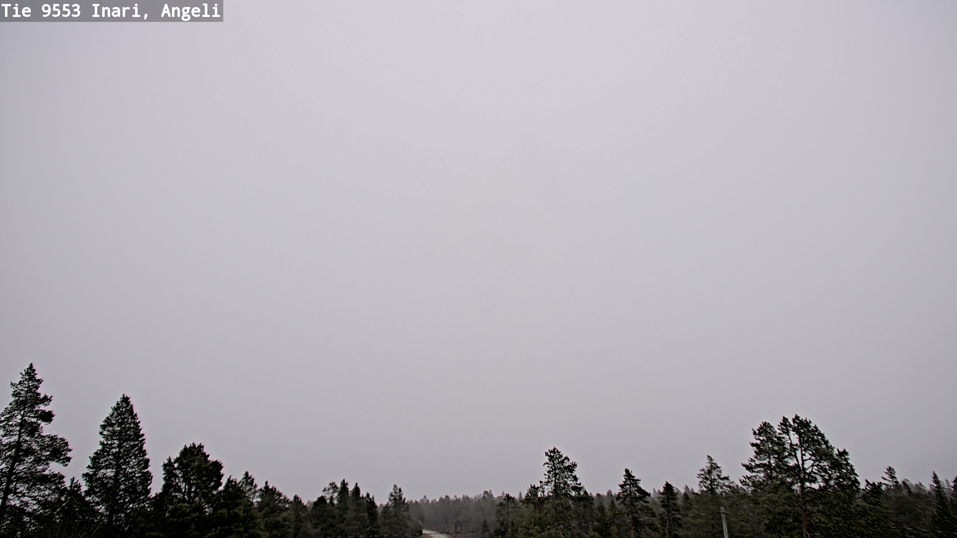 Kelikamerat Kuva Tie 9553 Inari, Angeli, Lintupuolivaara, Inari, Lappi