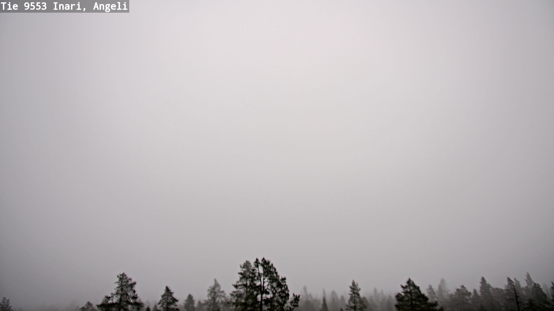 Kelikamerat Kuva Tie 9553 Inari, Angeli, Lintupuolivaara, Inari, Lappi