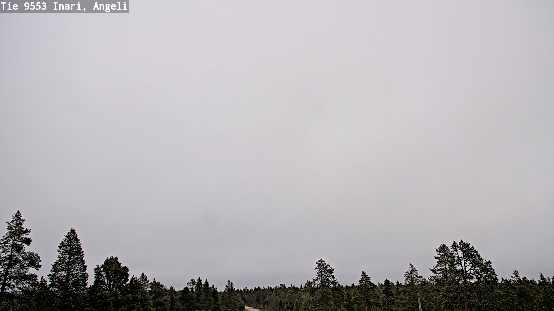 Weather Camera Image Road 9553 Inari, Angeli, Lintupuolivaara, Inari, Lappi
