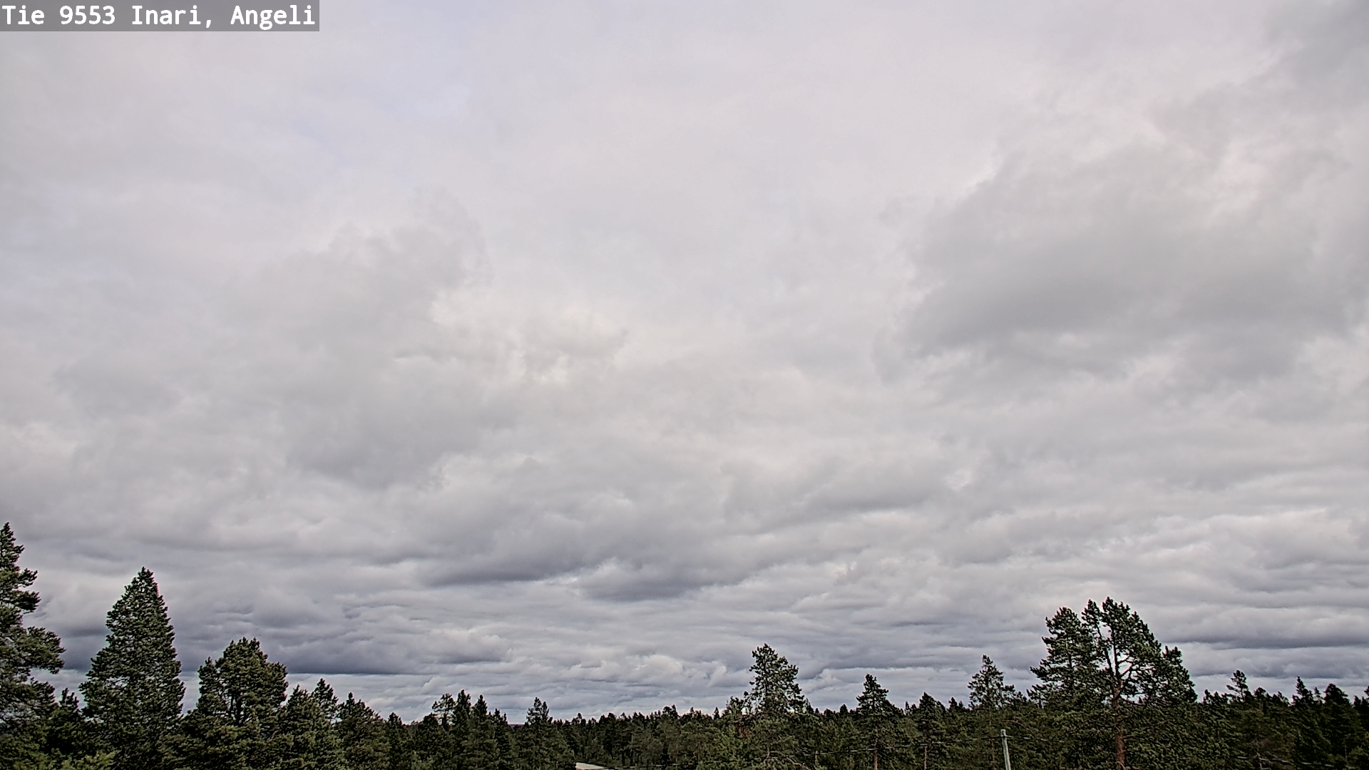 Kelikamerat Kuva Tie 9553 Inari, Angeli, Lintupuolivaara, Inari, Lappi
