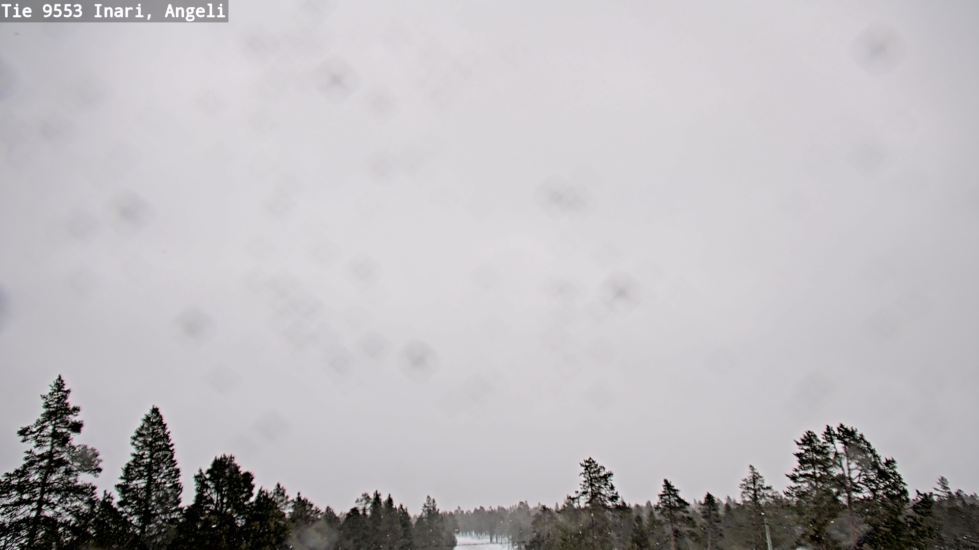 Kelikamerat Kuva Tie 9553 Inari, Angeli, Lintupuolivaara, Inari, Lappi