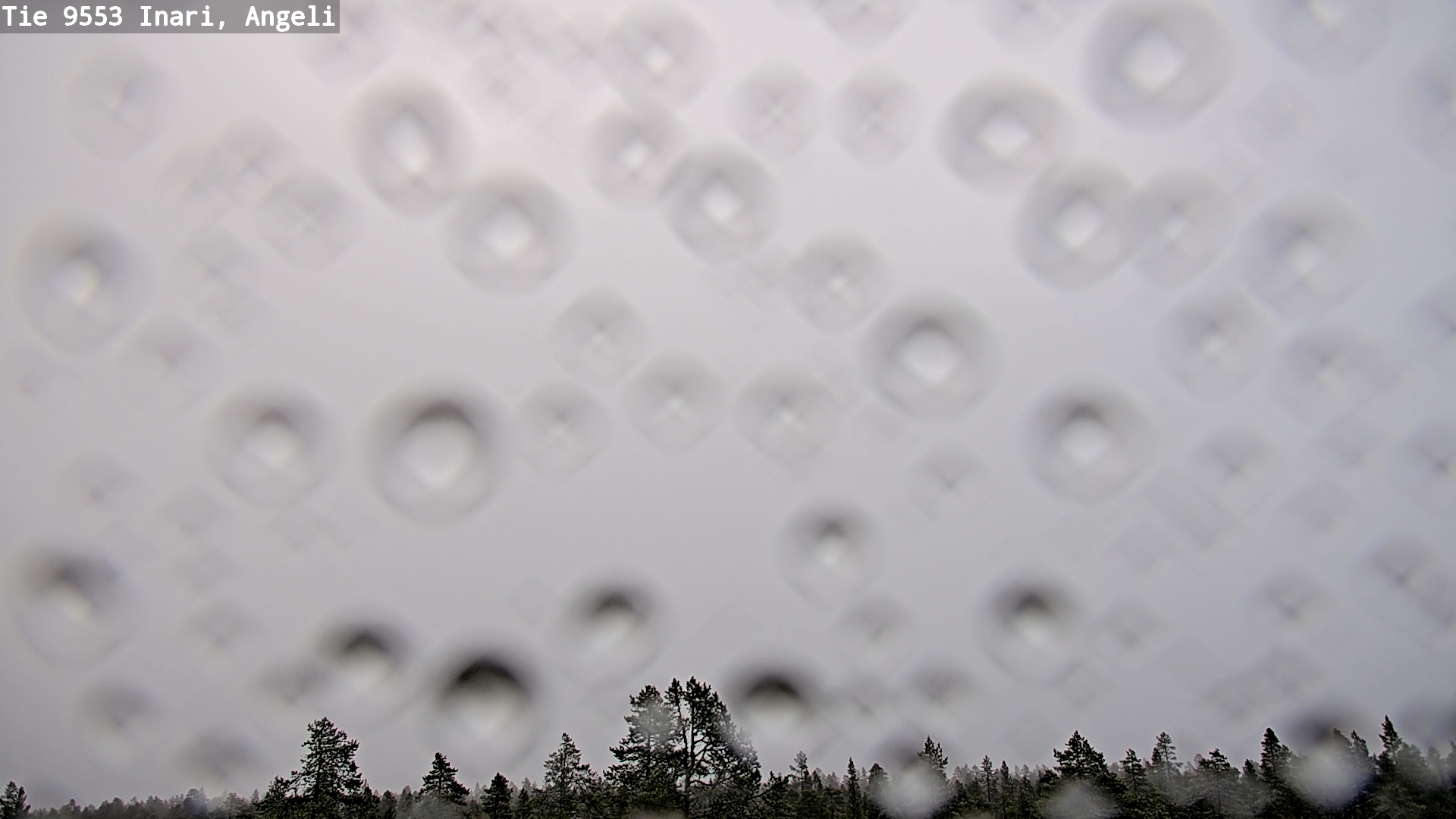 Kelikamerat Kuva Tie 9553 Inari, Angeli, Lintupuolivaara, Inari, Lappi