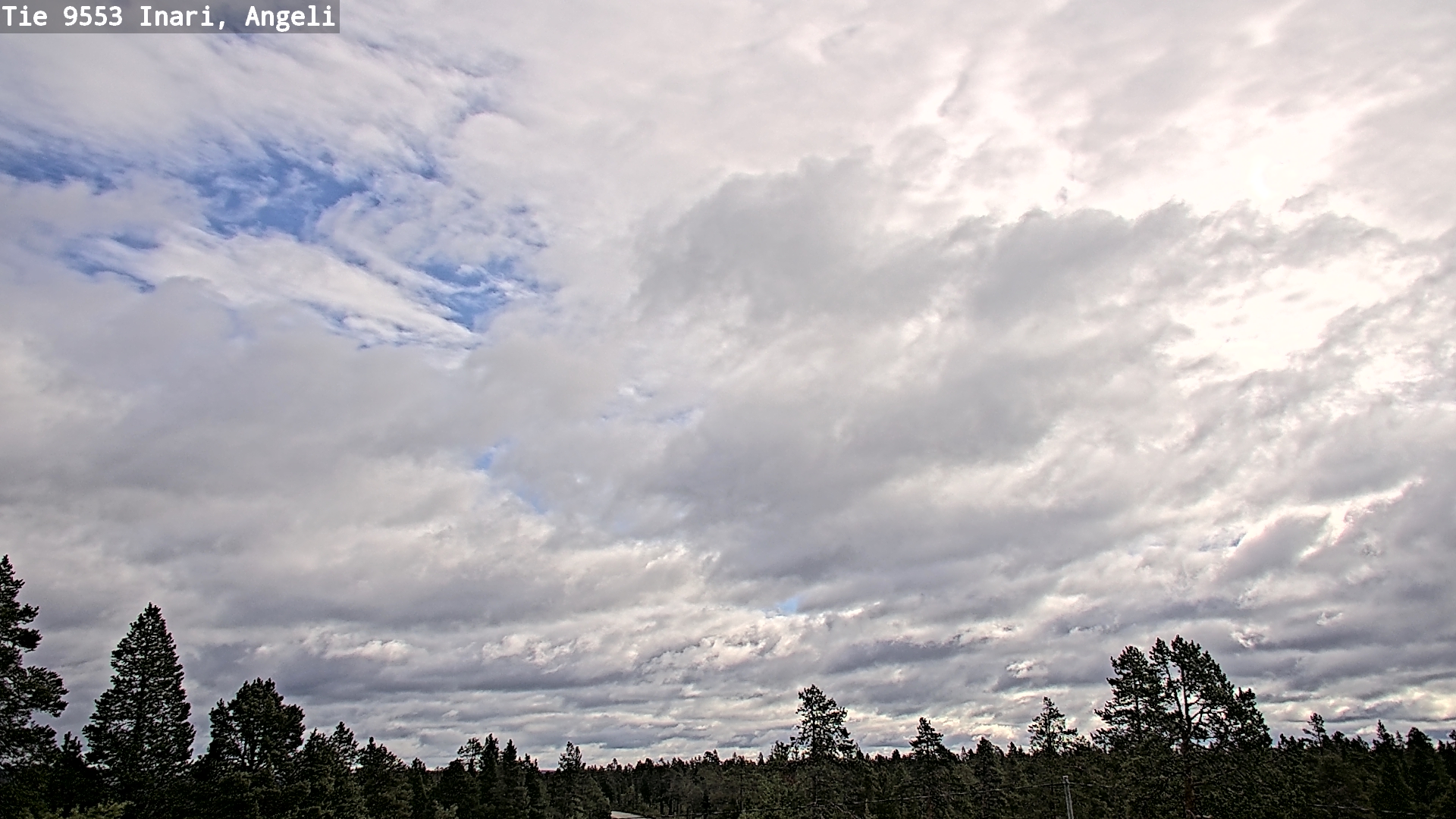 Weather Camera Image Road 9553 Inari, Angeli, Lintupuolivaara, Inari, Lappi