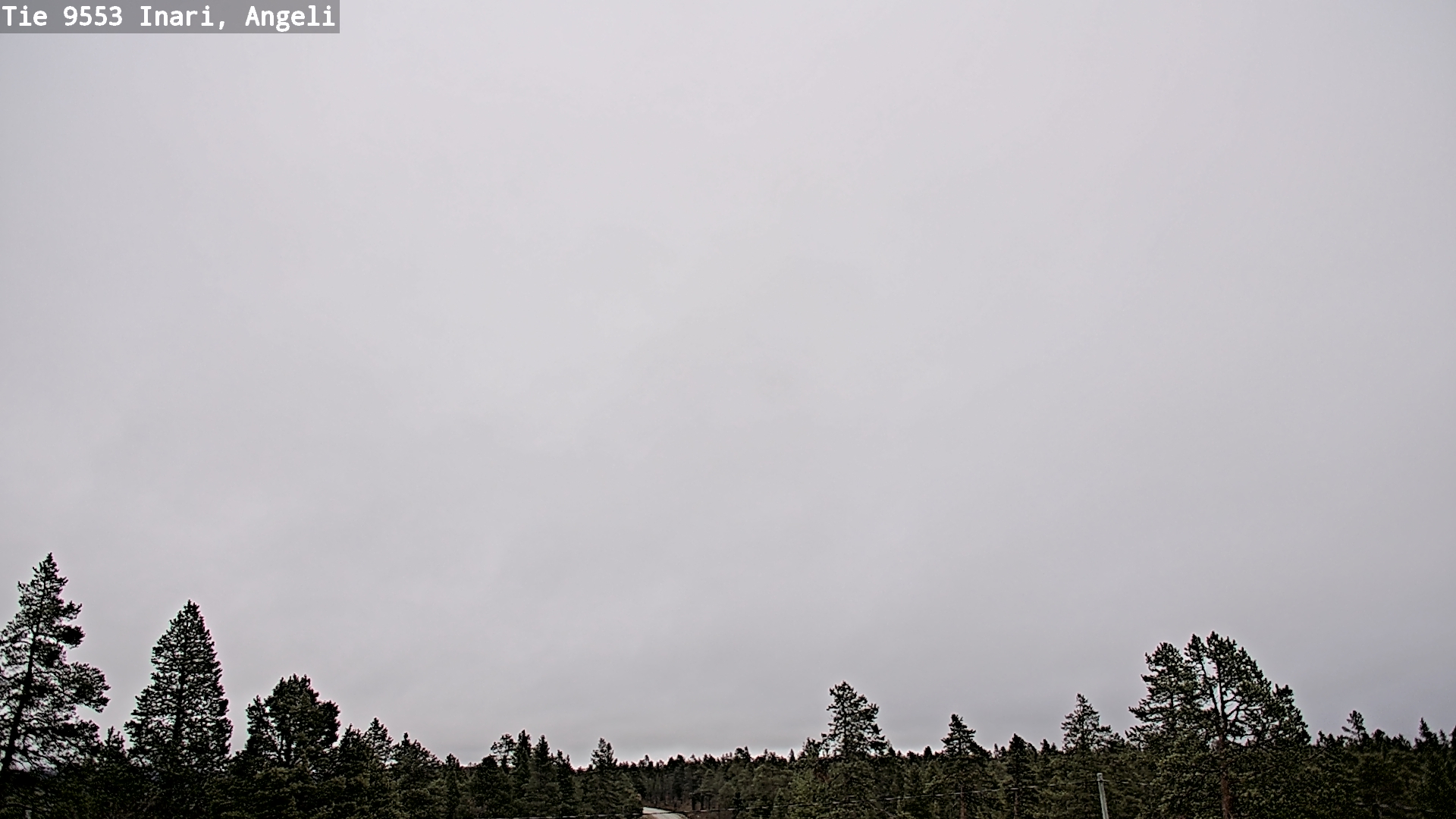 Weather Camera Image Road 9553 Inari, Angeli, Lintupuolivaara, Inari, Lappi