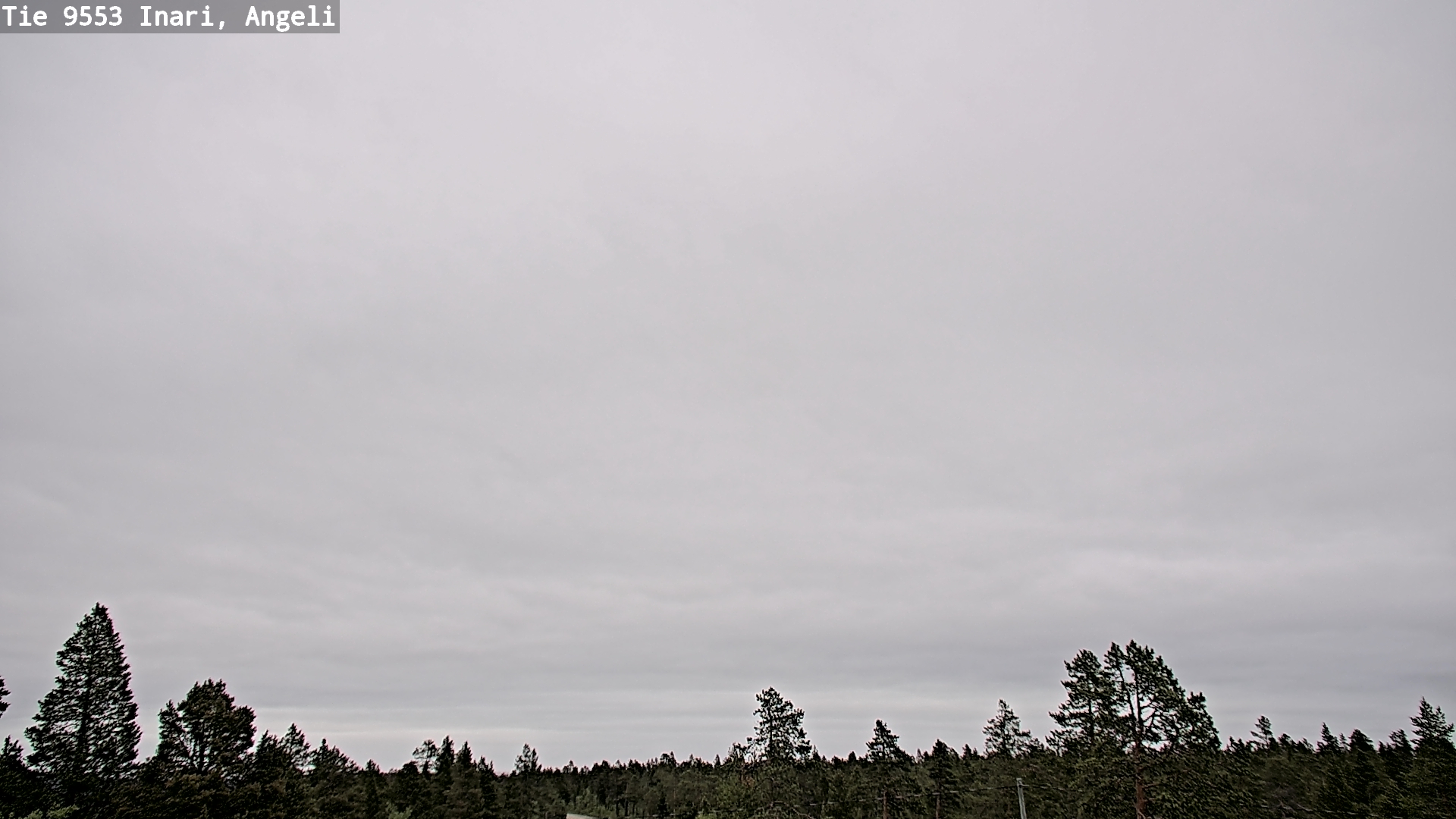 Weather Camera Image Road 9553 Inari, Angeli, Lintupuolivaara, Inari, Lappi