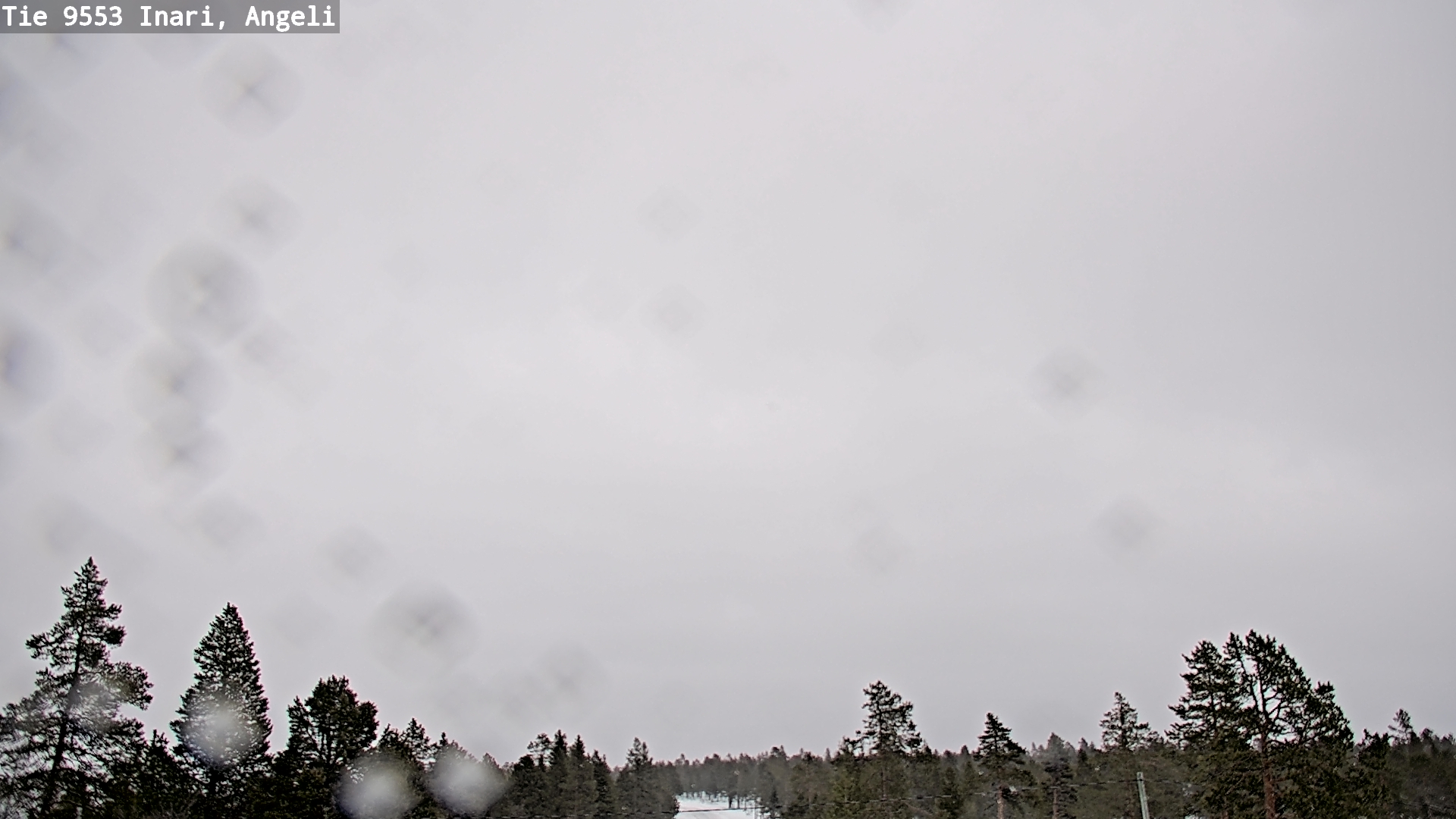 Kelikamerat Kuva Tie 9553 Inari, Angeli, Lintupuolivaara, Inari, Lappi