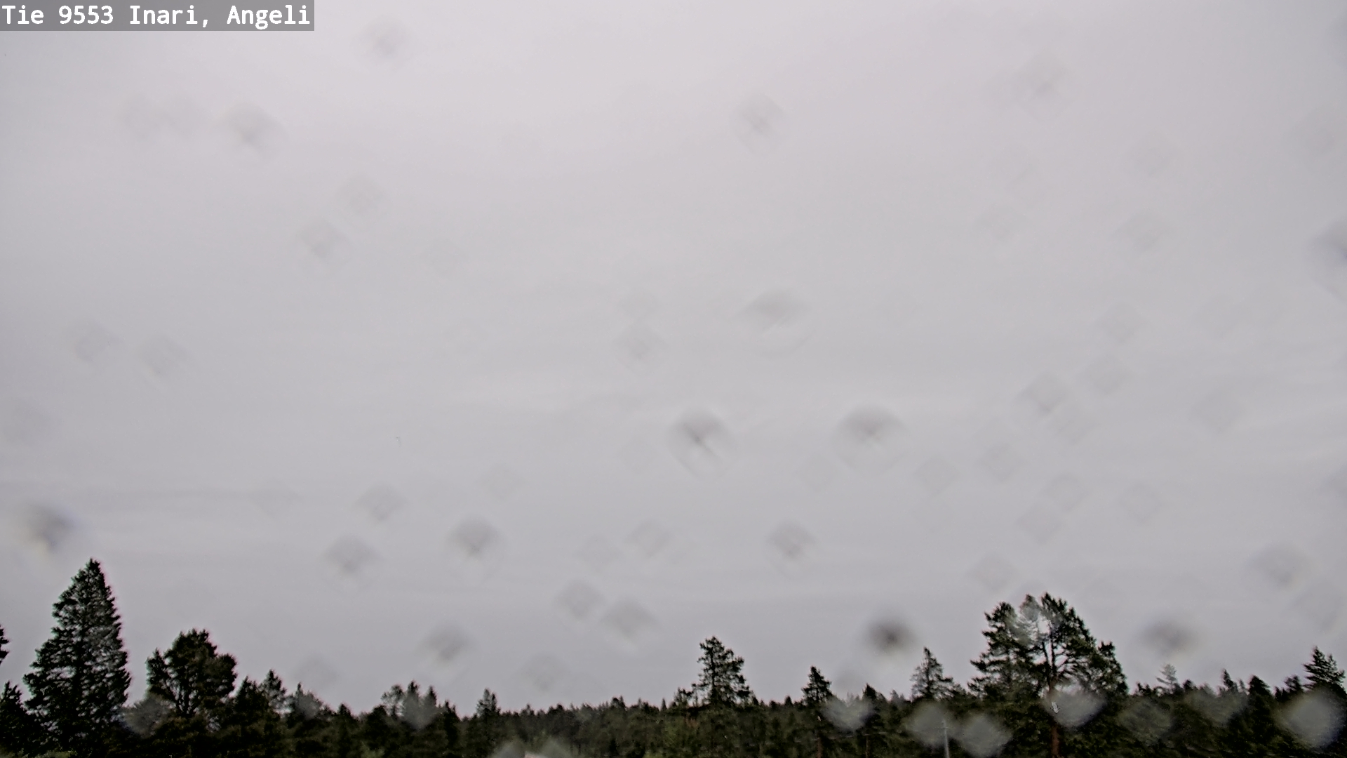 Weather Camera Image Road 9553 Inari, Angeli, Lintupuolivaara, Inari, Lappi