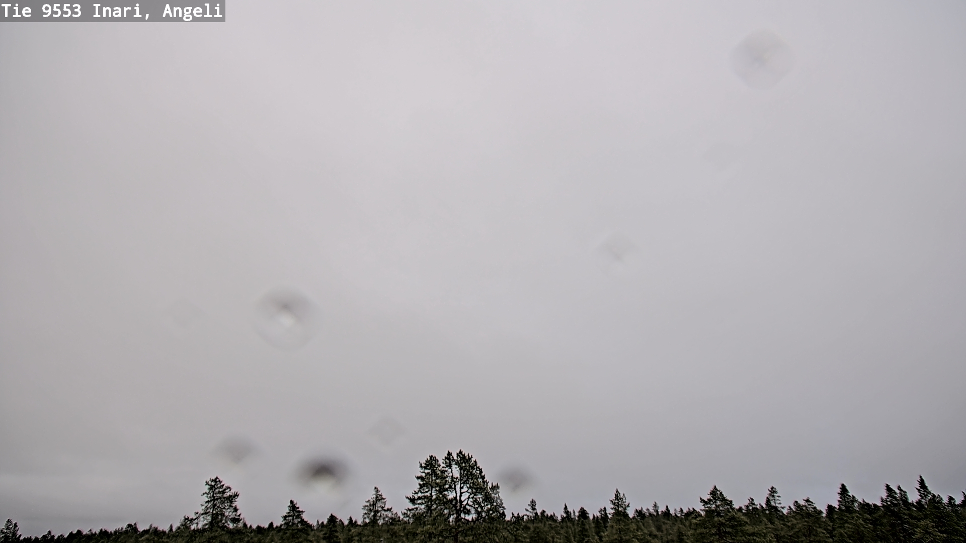 Kelikamerat Kuva Tie 9553 Inari, Angeli, Lintupuolivaara, Inari, Lappi