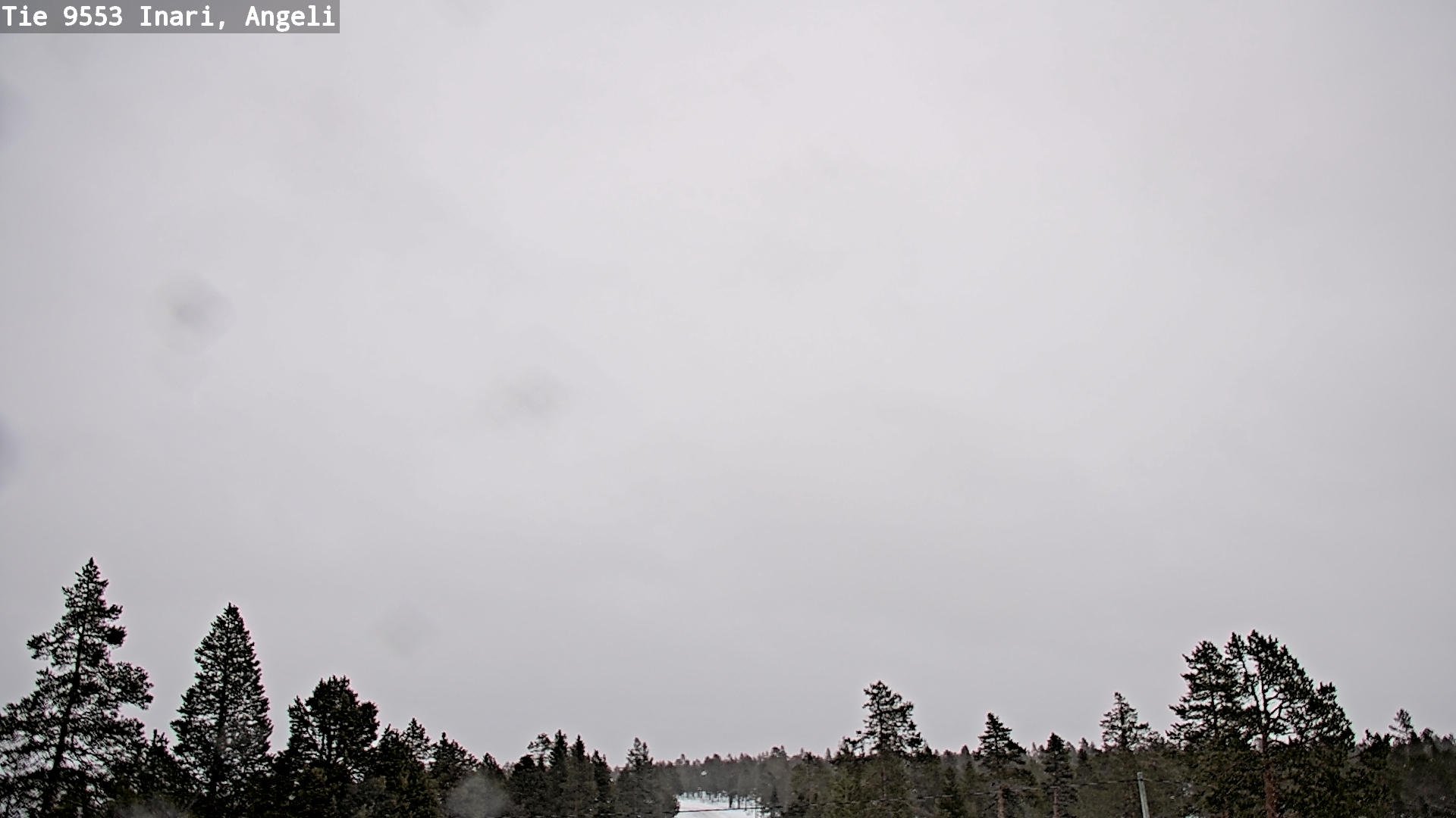 Kelikamerat Kuva Tie 9553 Inari, Angeli, Lintupuolivaara, Inari, Lappi