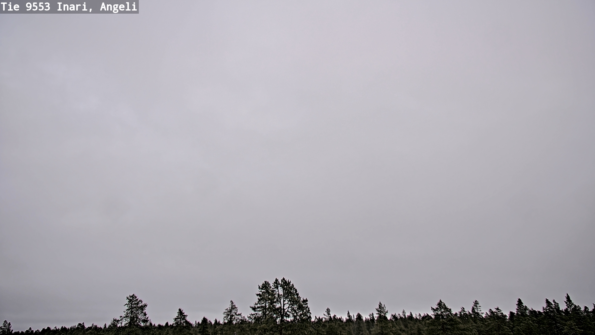 Kelikamerat Kuva Tie 9553 Inari, Angeli, Lintupuolivaara, Inari, Lappi