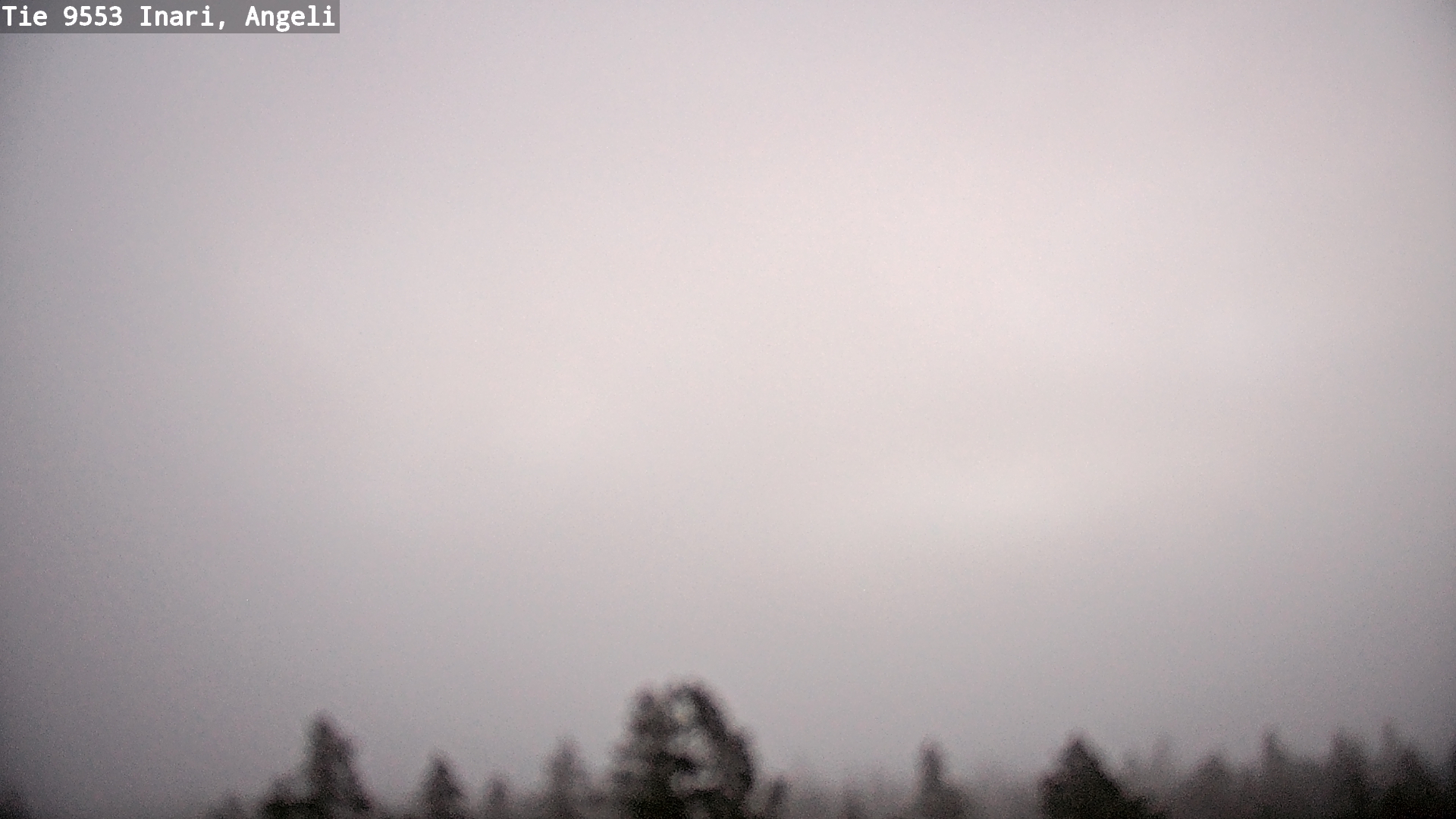 Kelikamerat Kuva Tie 9553 Inari, Angeli, Lintupuolivaara, Inari, Lappi