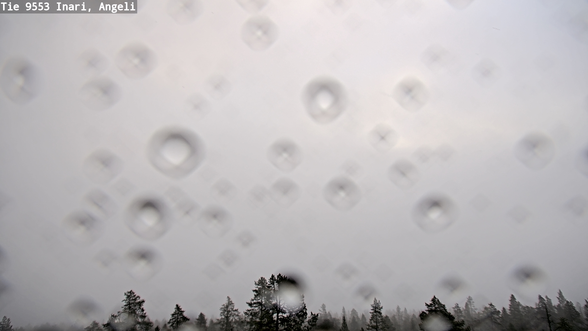 Kelikamerat Kuva Tie 9553 Inari, Angeli, Lintupuolivaara, Inari, Lappi