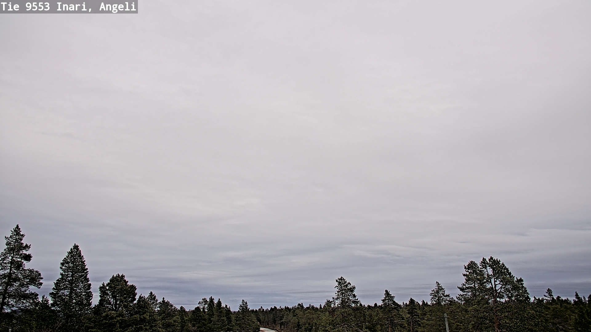 Kelikamerat Kuva Tie 9553 Inari, Angeli, Lintupuolivaara, Inari, Lappi