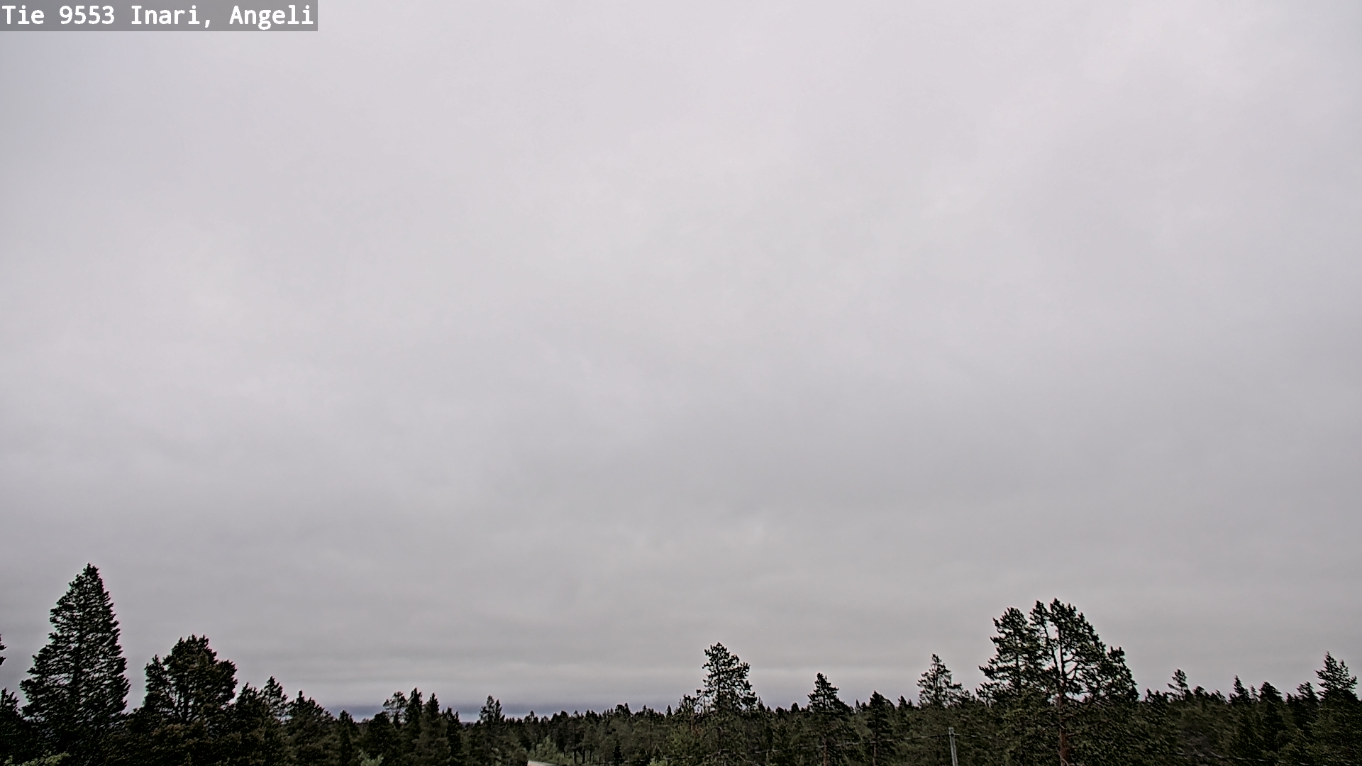 Kelikamerat Kuva Tie 9553 Inari, Angeli, Lintupuolivaara, Inari, Lappi