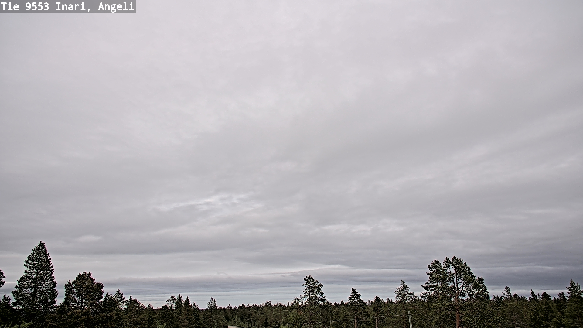 Kelikamerat Kuva Tie 9553 Inari, Angeli, Lintupuolivaara, Inari, Lappi