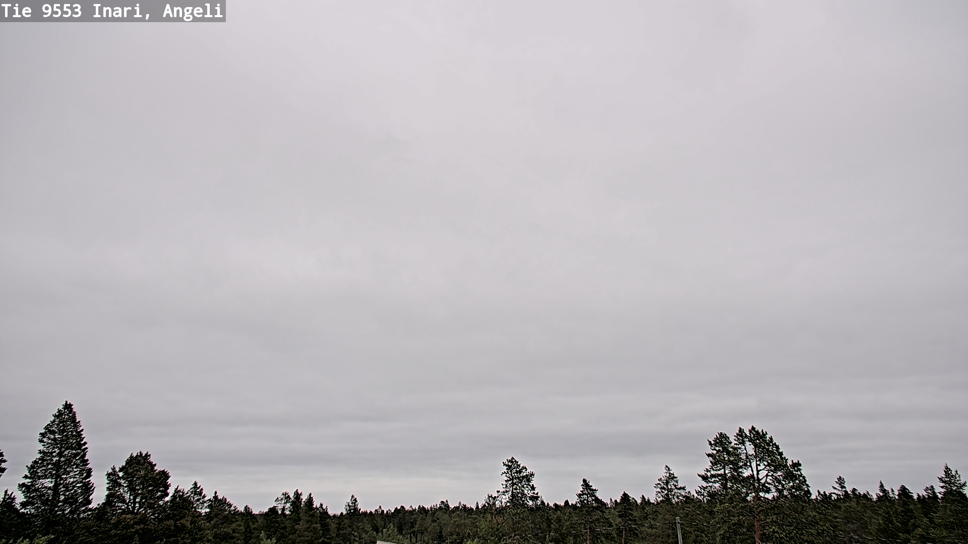Weather Camera Image Road 9553 Inari, Angeli, Lintupuolivaara, Inari, Lappi