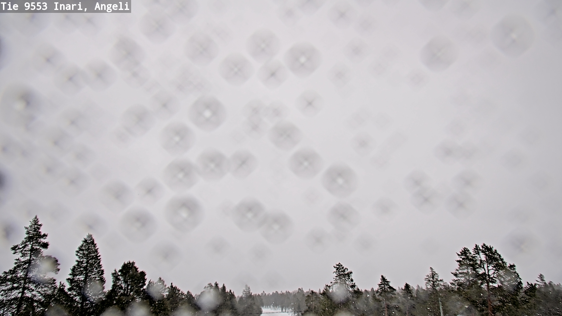 Kelikamerat Kuva Tie 9553 Inari, Angeli, Lintupuolivaara, Inari, Lappi