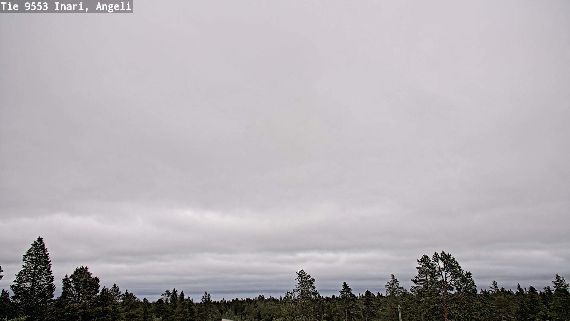 Weather Camera Image Road 9553 Inari, Angeli, Lintupuolivaara, Inari, Lappi