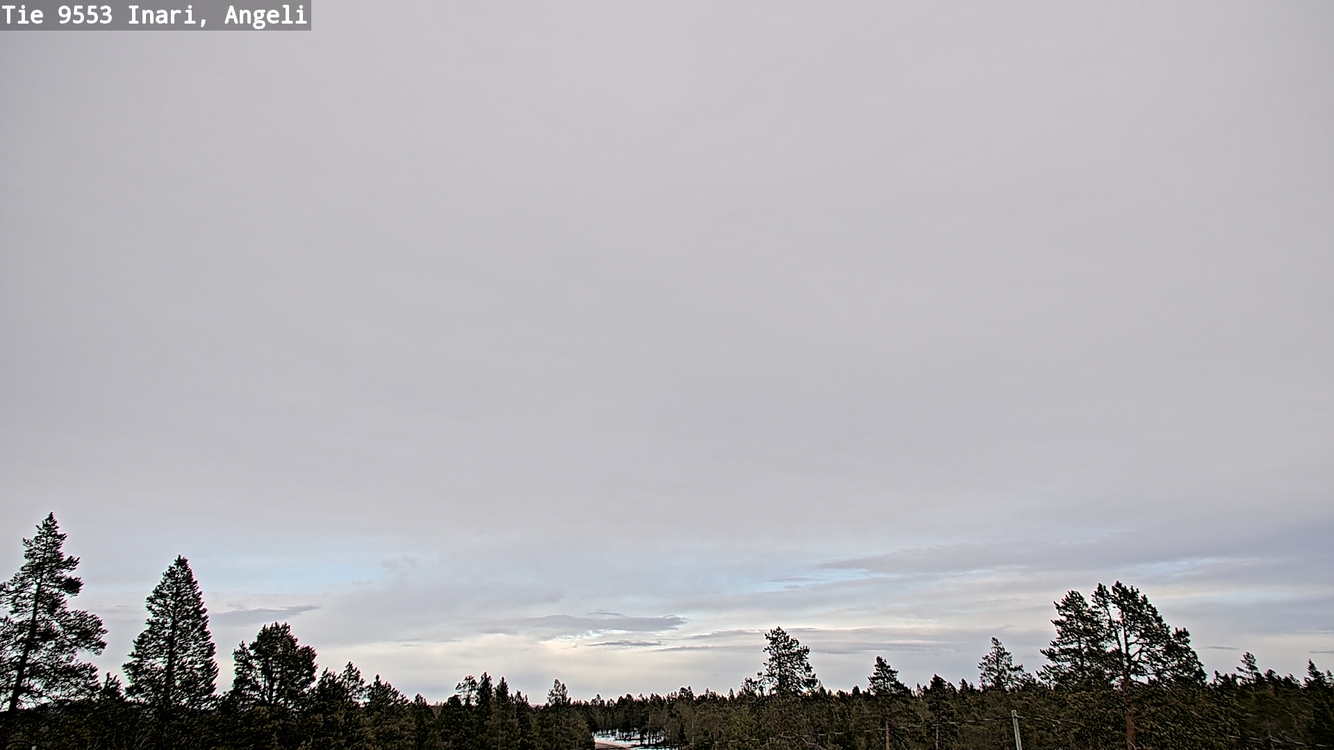 Weather Camera Image Road 9553 Inari, Angeli, Lintupuolivaara, Inari, Lappi