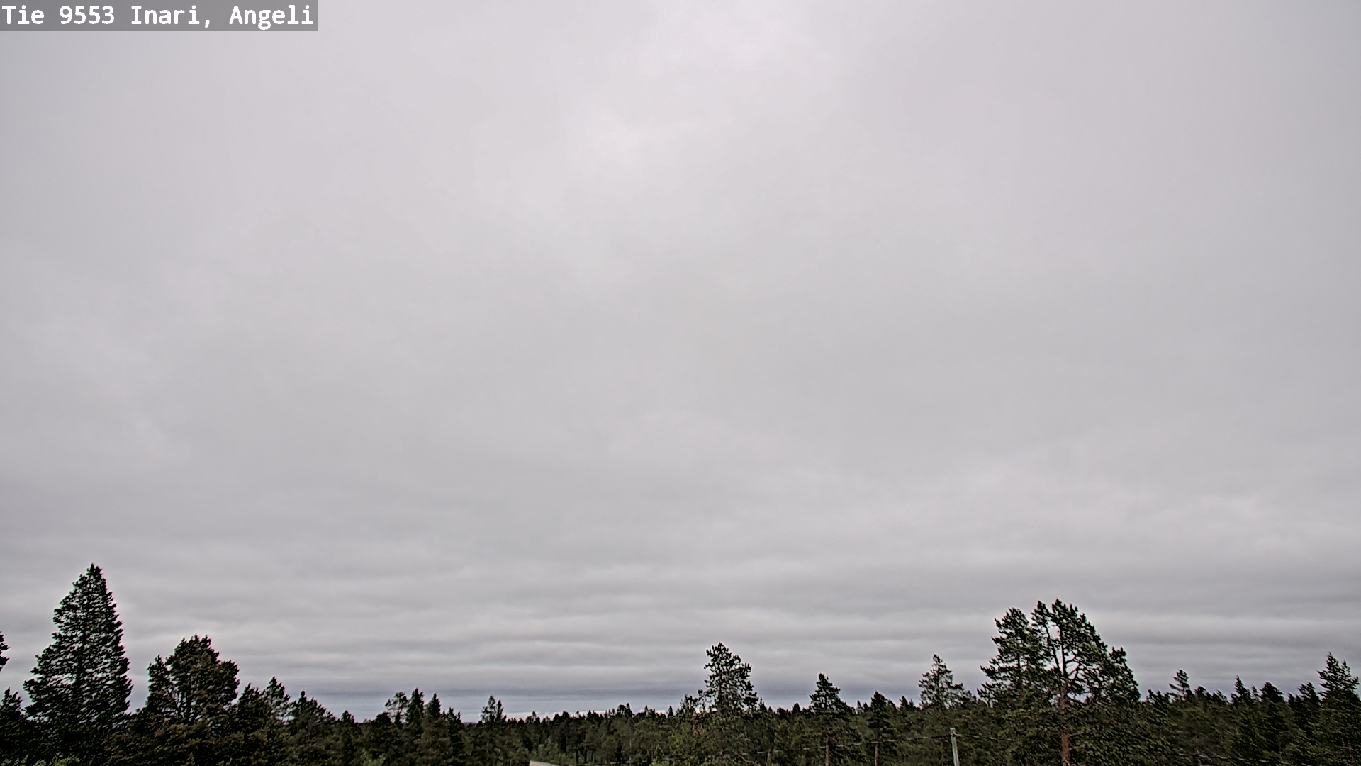 Weather Camera Image Road 9553 Inari, Angeli, Lintupuolivaara, Inari, Lappi