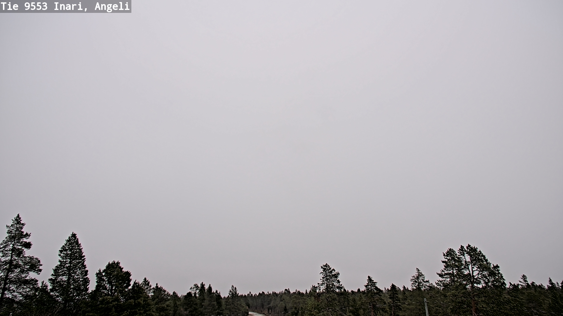 Kelikamerat Kuva Tie 9553 Inari, Angeli, Lintupuolivaara, Inari, Lappi
