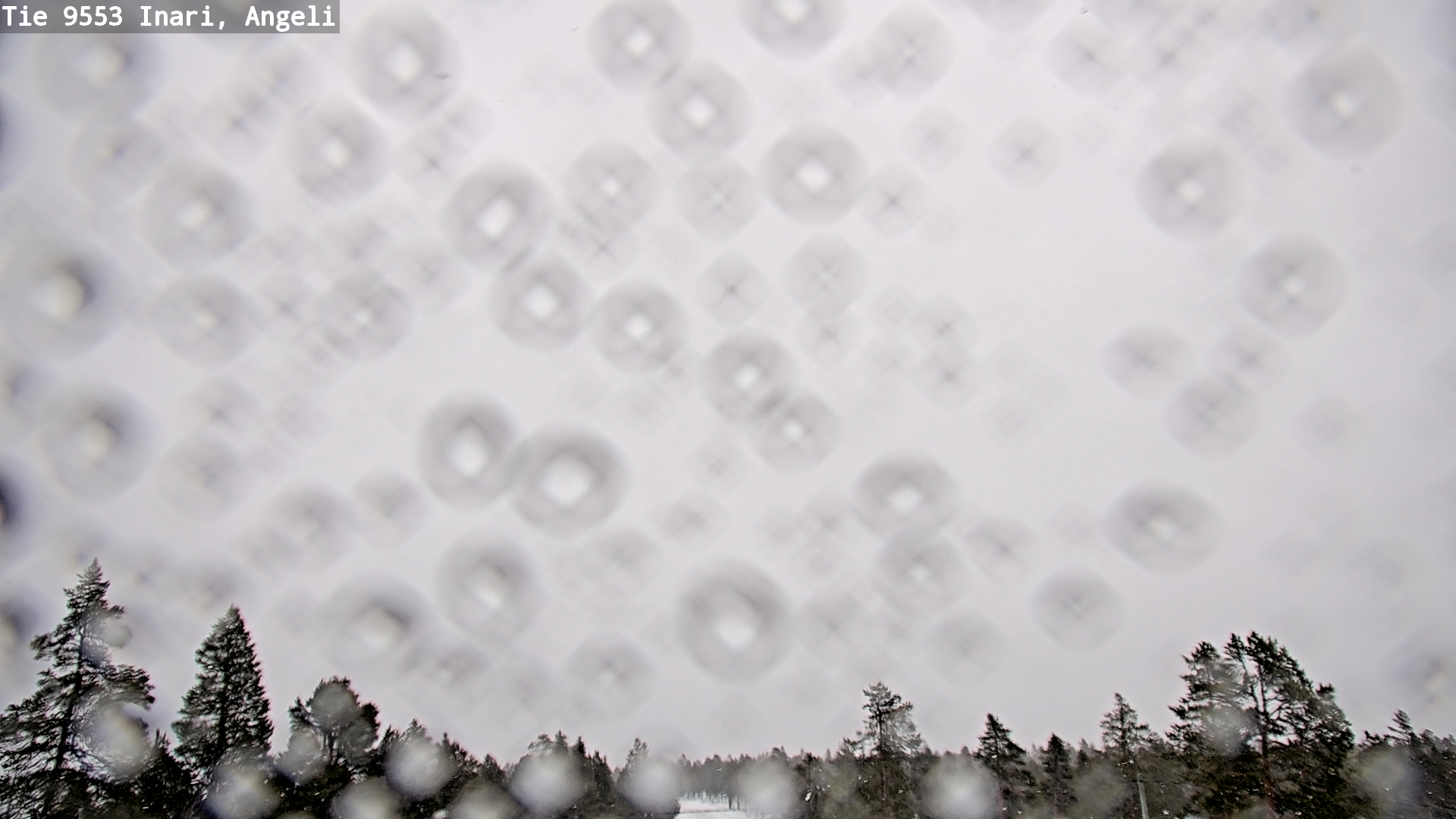 Kelikamerat Kuva Tie 9553 Inari, Angeli, Lintupuolivaara, Inari, Lappi