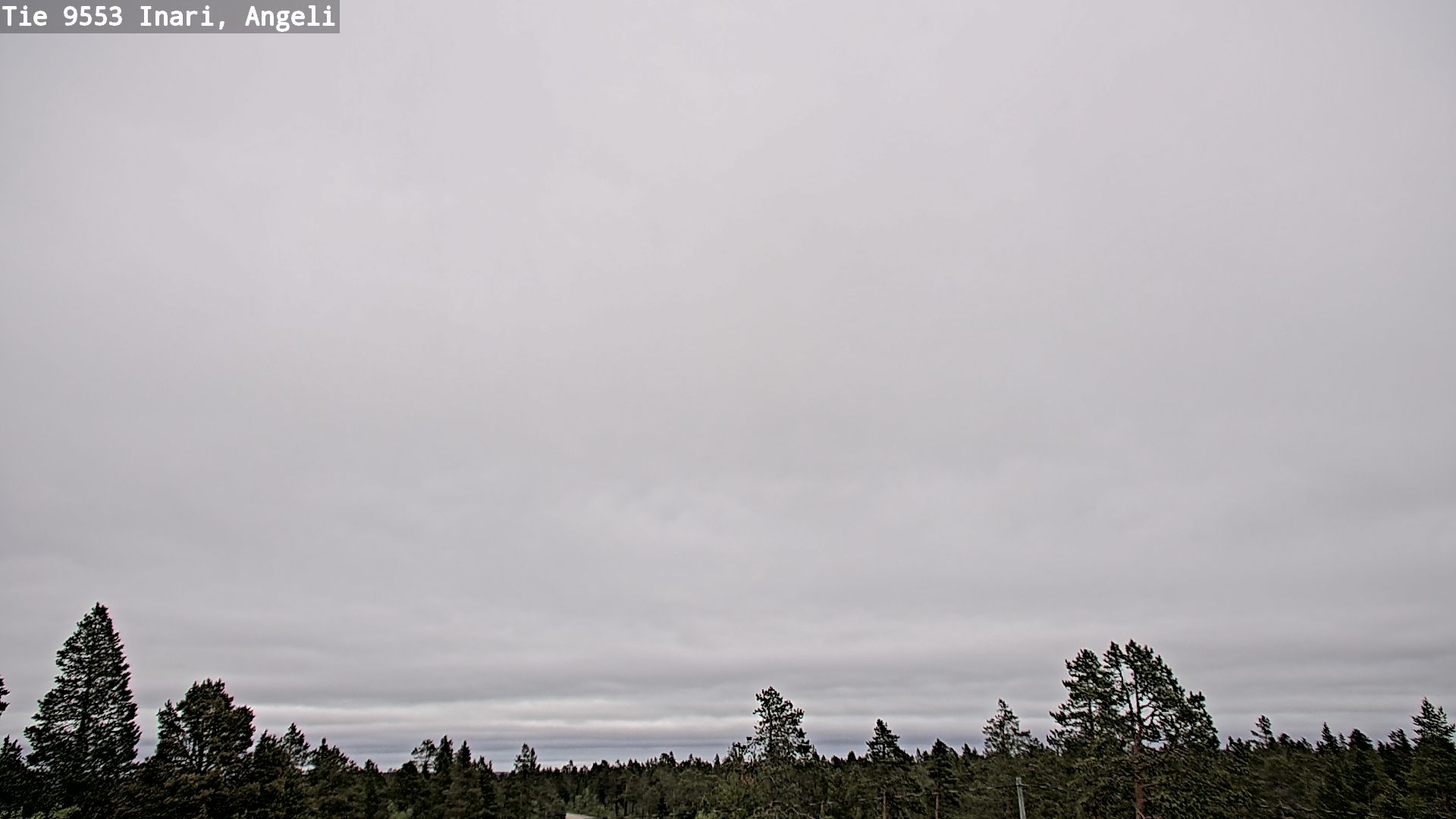 Weather Camera Image Road 9553 Inari, Angeli, Lintupuolivaara, Inari, Lappi
