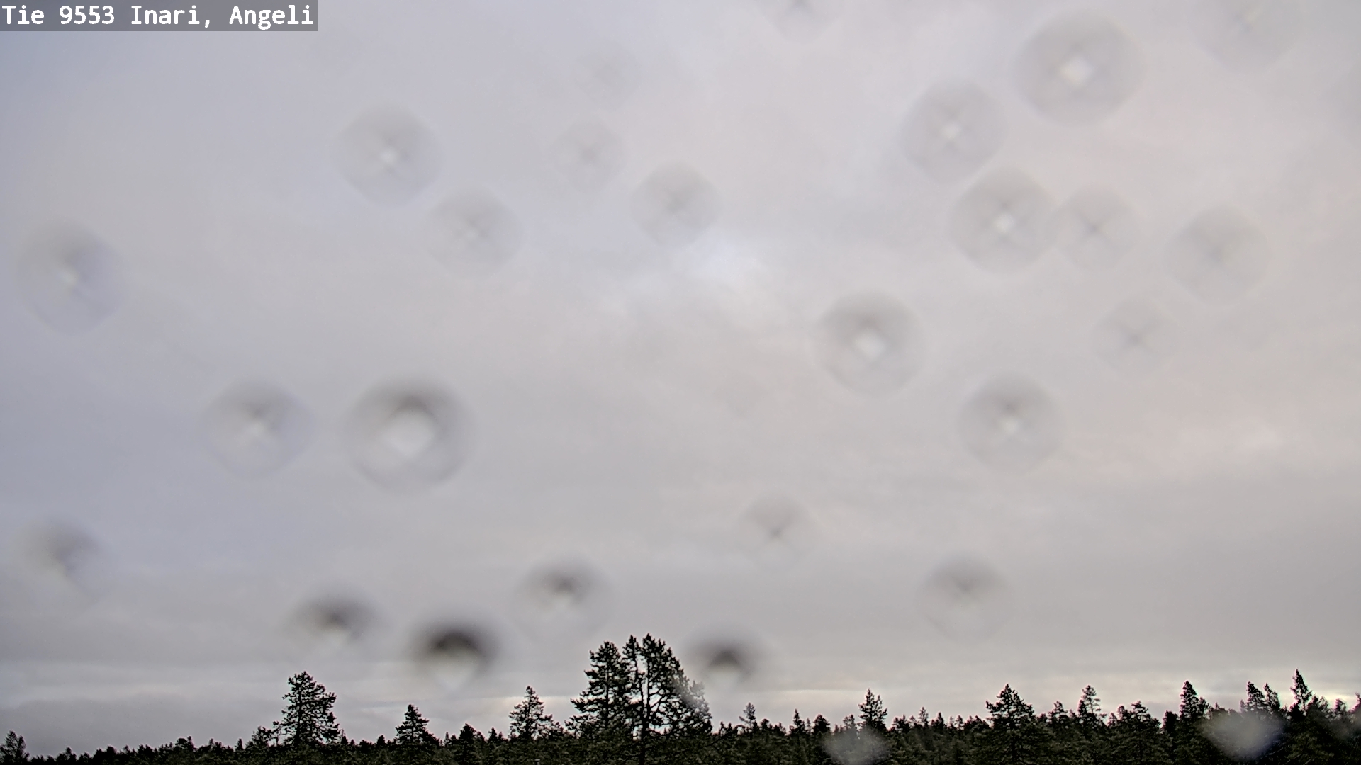 Kelikamerat Kuva Tie 9553 Inari, Angeli, Lintupuolivaara, Inari, Lappi