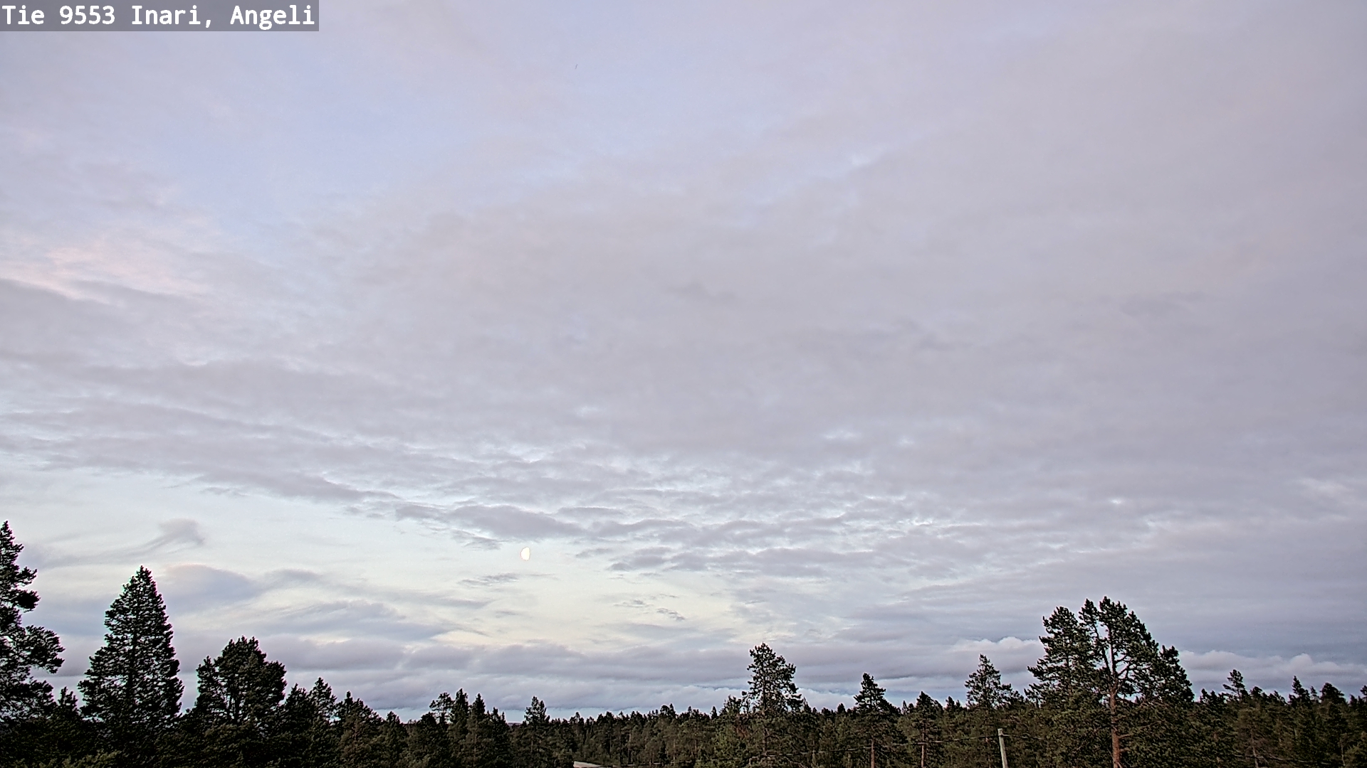 Kelikamerat Kuva Tie 9553 Inari, Angeli, Lintupuolivaara, Inari, Lappi