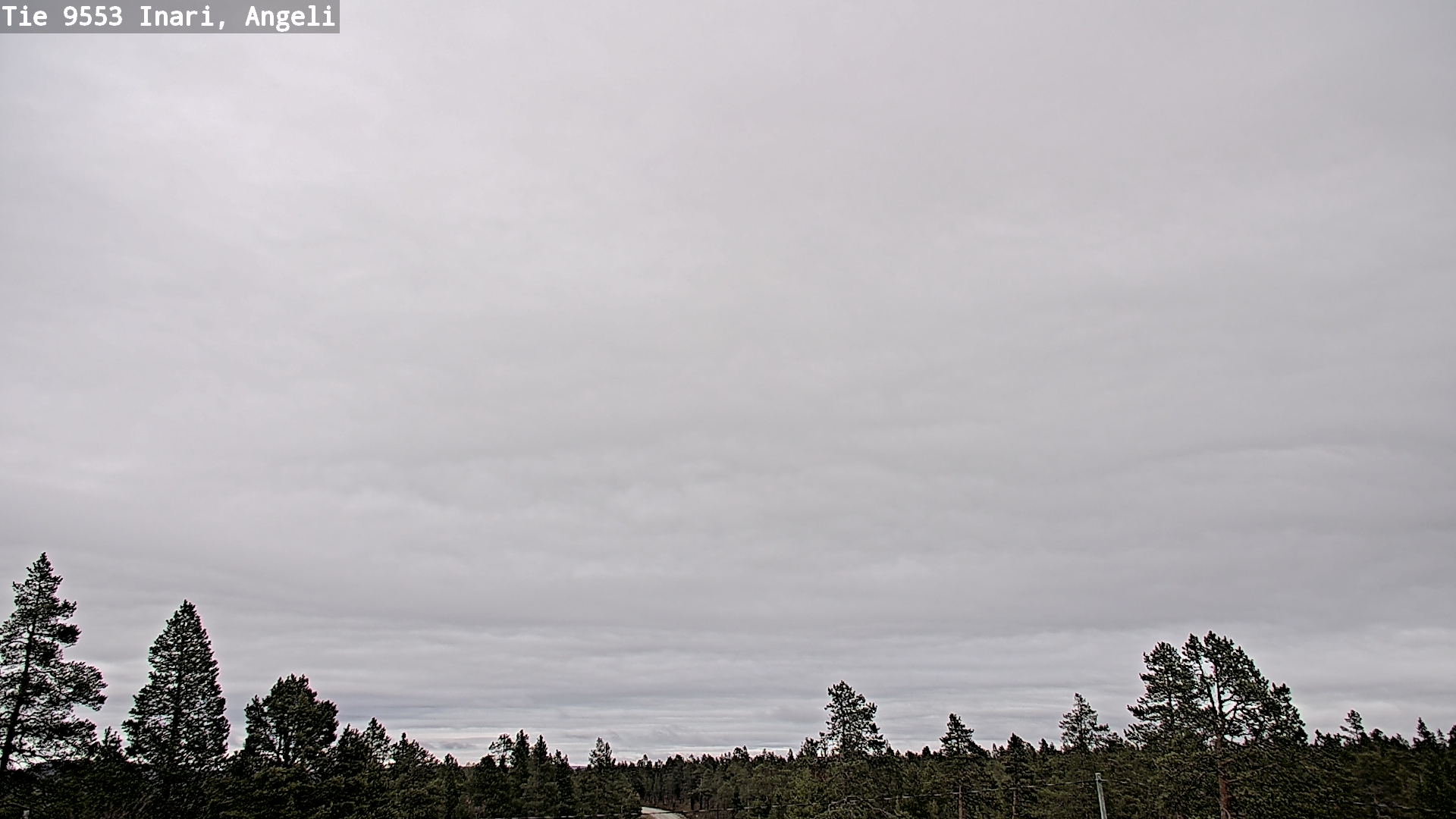 Kelikamerat Kuva Tie 9553 Inari, Angeli, Lintupuolivaara, Inari, Lappi