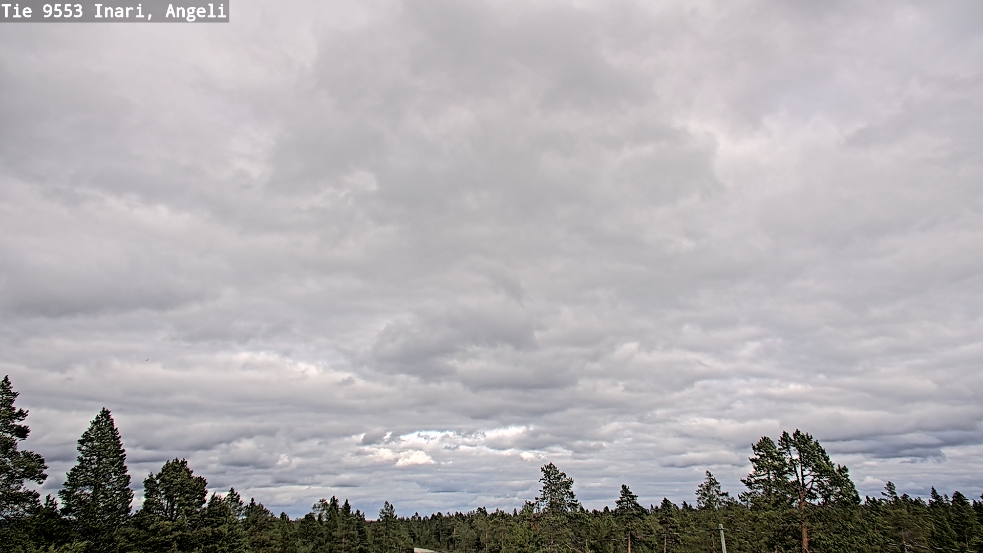 Kelikamerat Kuva Tie 9553 Inari, Angeli, Lintupuolivaara, Inari, Lappi
