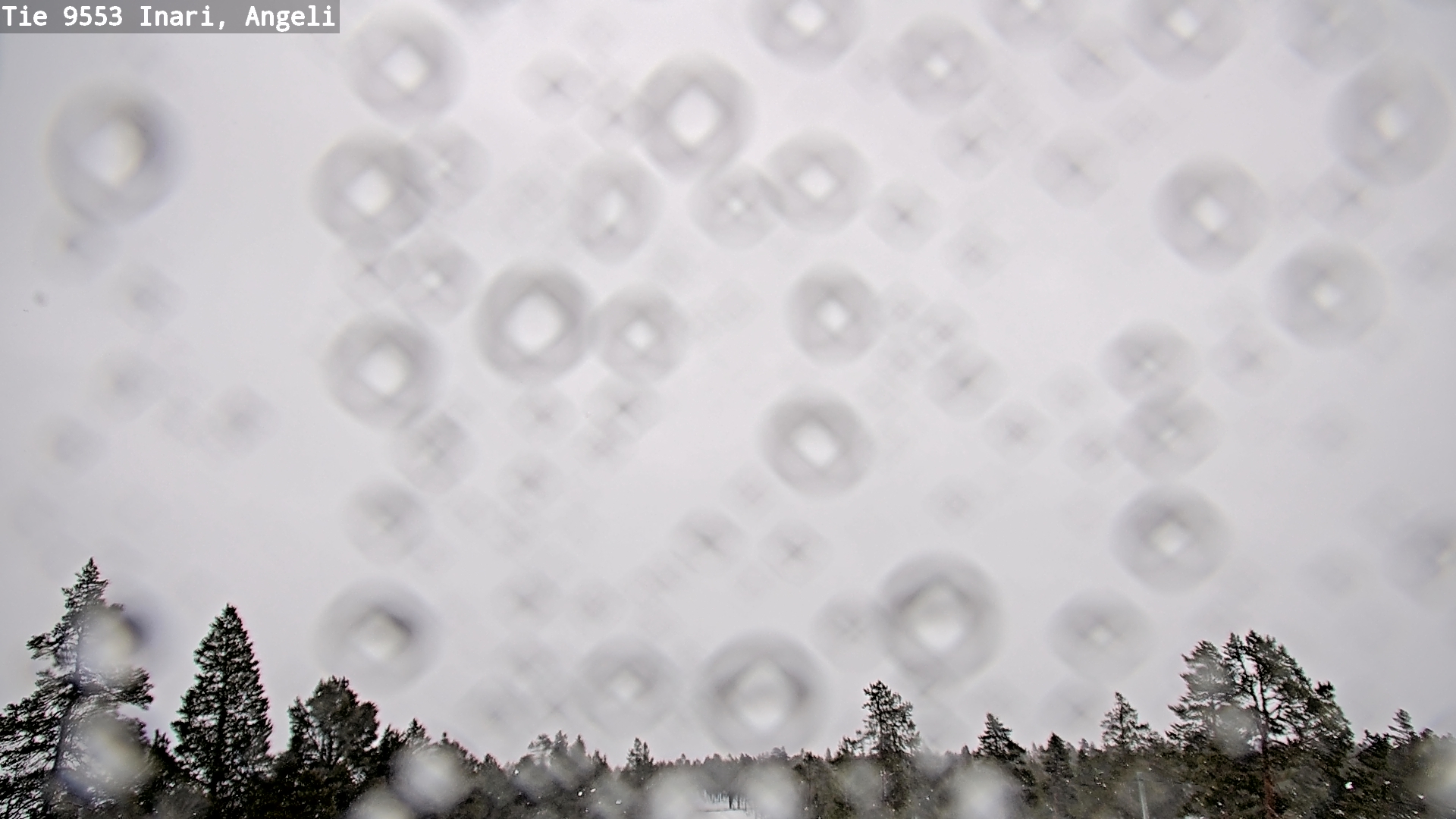 Kelikamerat Kuva Tie 9553 Inari, Angeli, Lintupuolivaara, Inari, Lappi